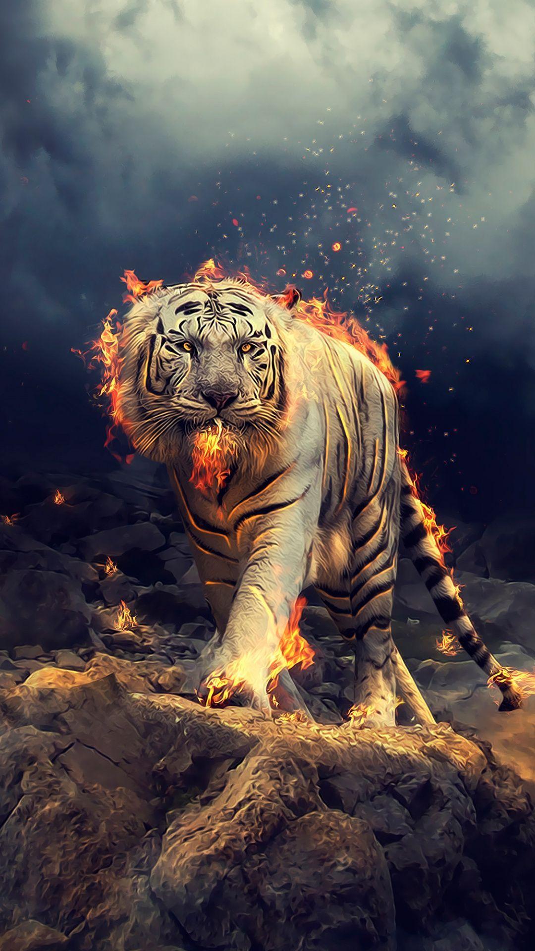 Free download tiger galaxy wallpaper wallpapers Pinterest 500x738 for  your Desktop Mobile  Tablet  Explore 46 Cool Galaxy Wallpaper  Galaxy  Wallpaper Widescreen Cool Galaxy Wallpapers Cool Samsung Galaxy S3  Wallpapers