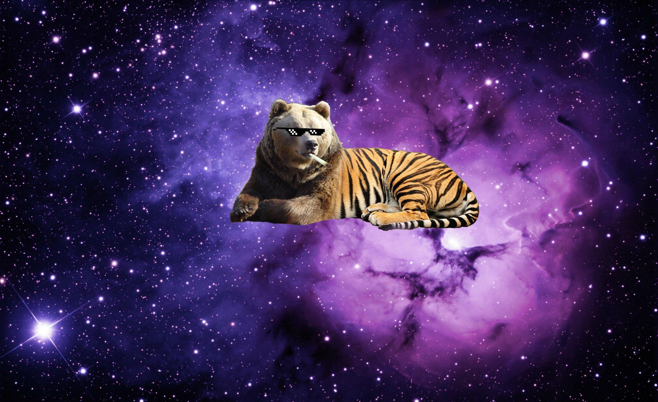 El tigre galaxy purple stars stripes tiger HD phone wallpaper  Peakpx