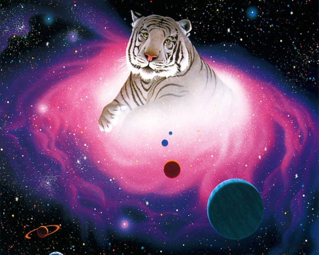 1280x1024 Animal wallpaper, Tiger wallpaper, Animals