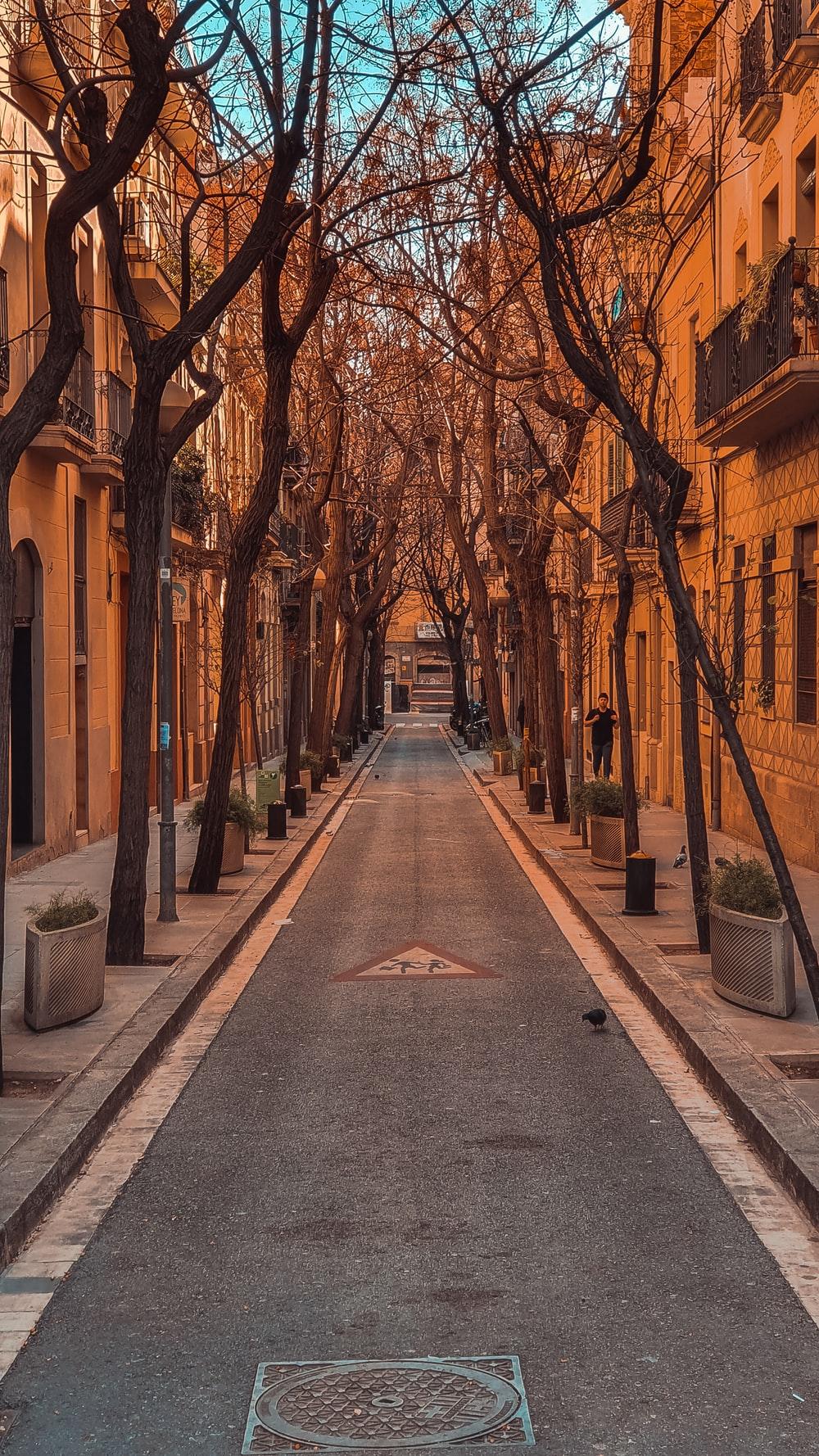 1000x1778 Barcelona City Picture. Download Free Image