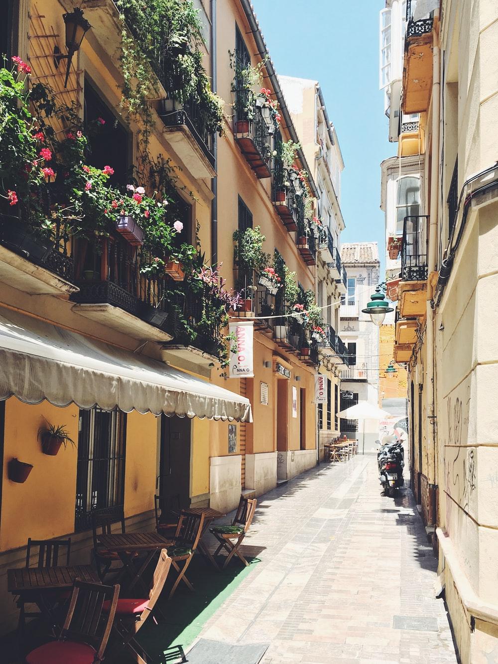 1000x1333 Spain Street Picture. Download Free Image