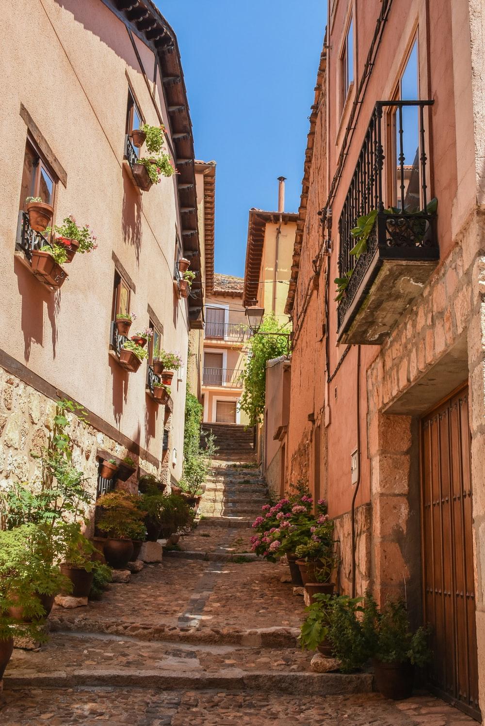 1000x1498 Beautiful Street Picture. Download Free Image