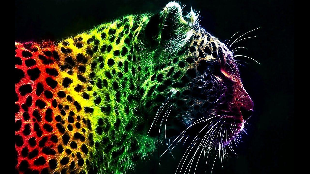 1280x720 Bible Study.June 2020. Animal wallpaper, Tiger wallpaper, Leopard wallpaper