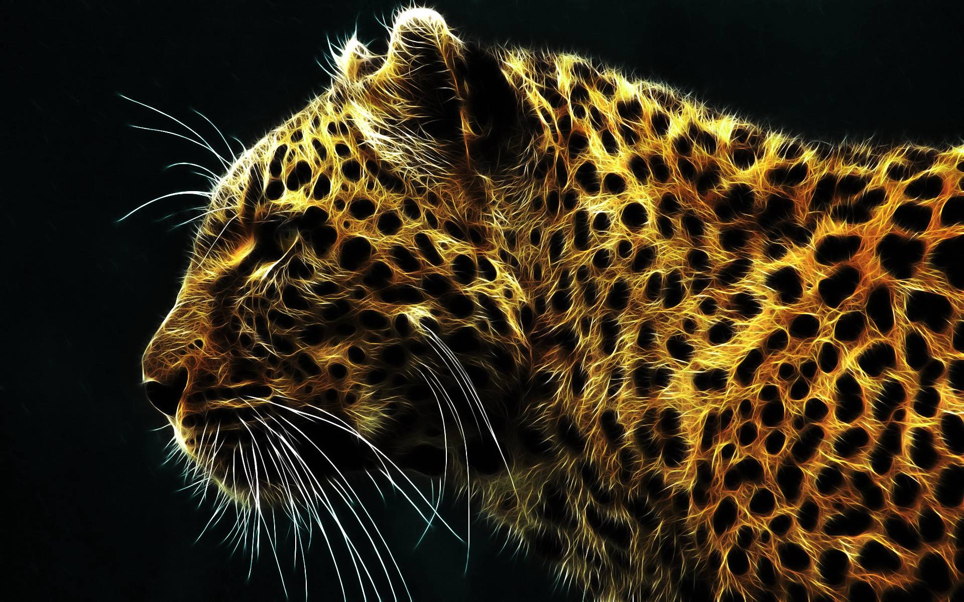 1920x1200 Free download Cool Neon Animal Background Light bright leopard [1920x1200] for your Desktop, Mobile & Tablet. Explore Neon Animal Wallpaper. Neon Desktop Wallpaper, Neon Wallpaper, Neon Car Wallpaper