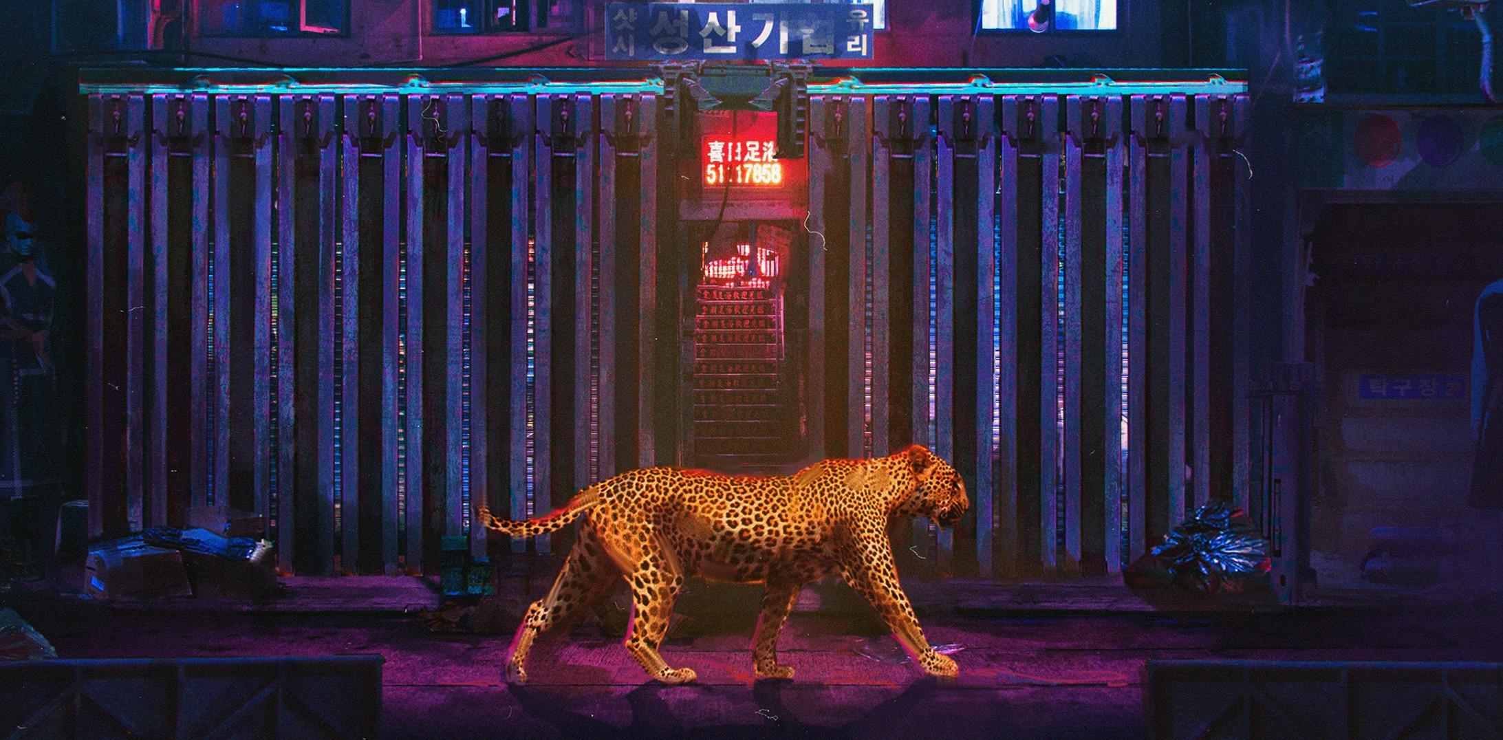 2185x1076 animals, city, neon lights, leopard, night, feline, big cats, walking. Mocah HD Wallpaper