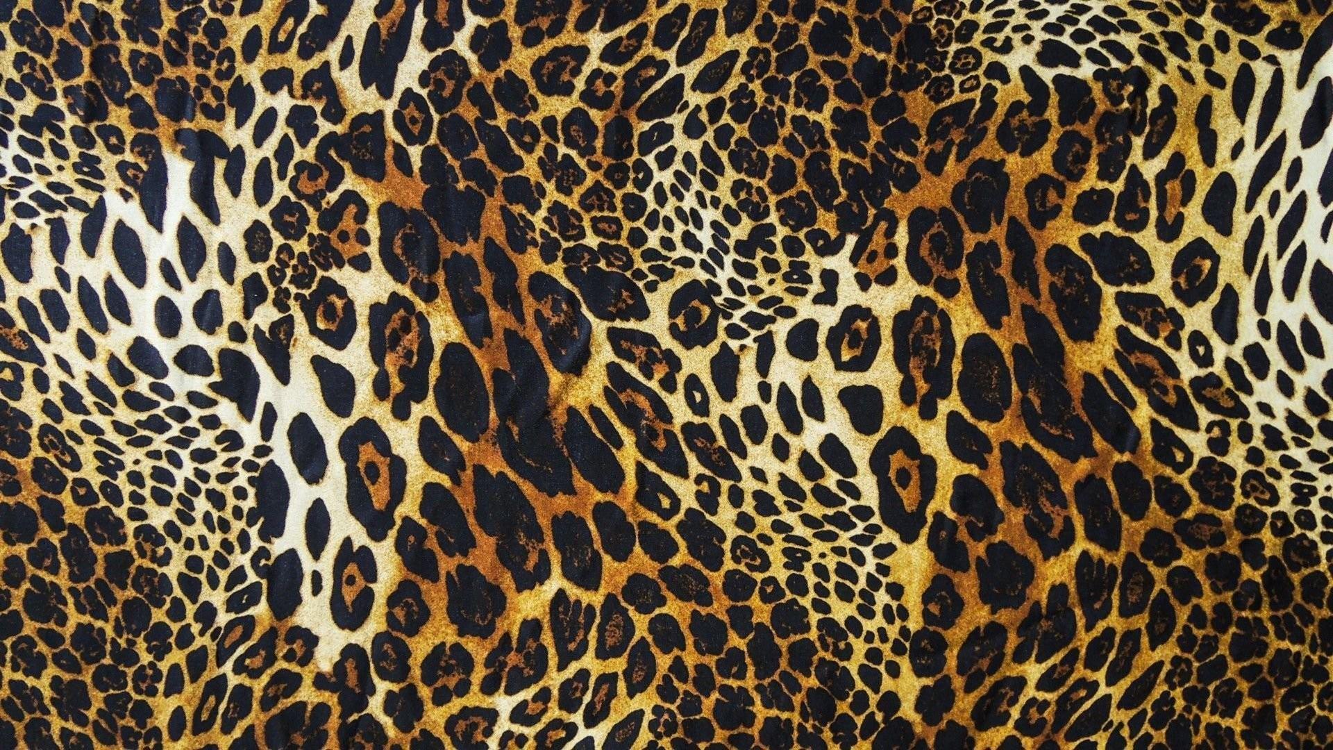 1920x1080 Pink Cheetah Wallpaper (best Pink Cheetah Wallpaper and image) on WallpaperChat