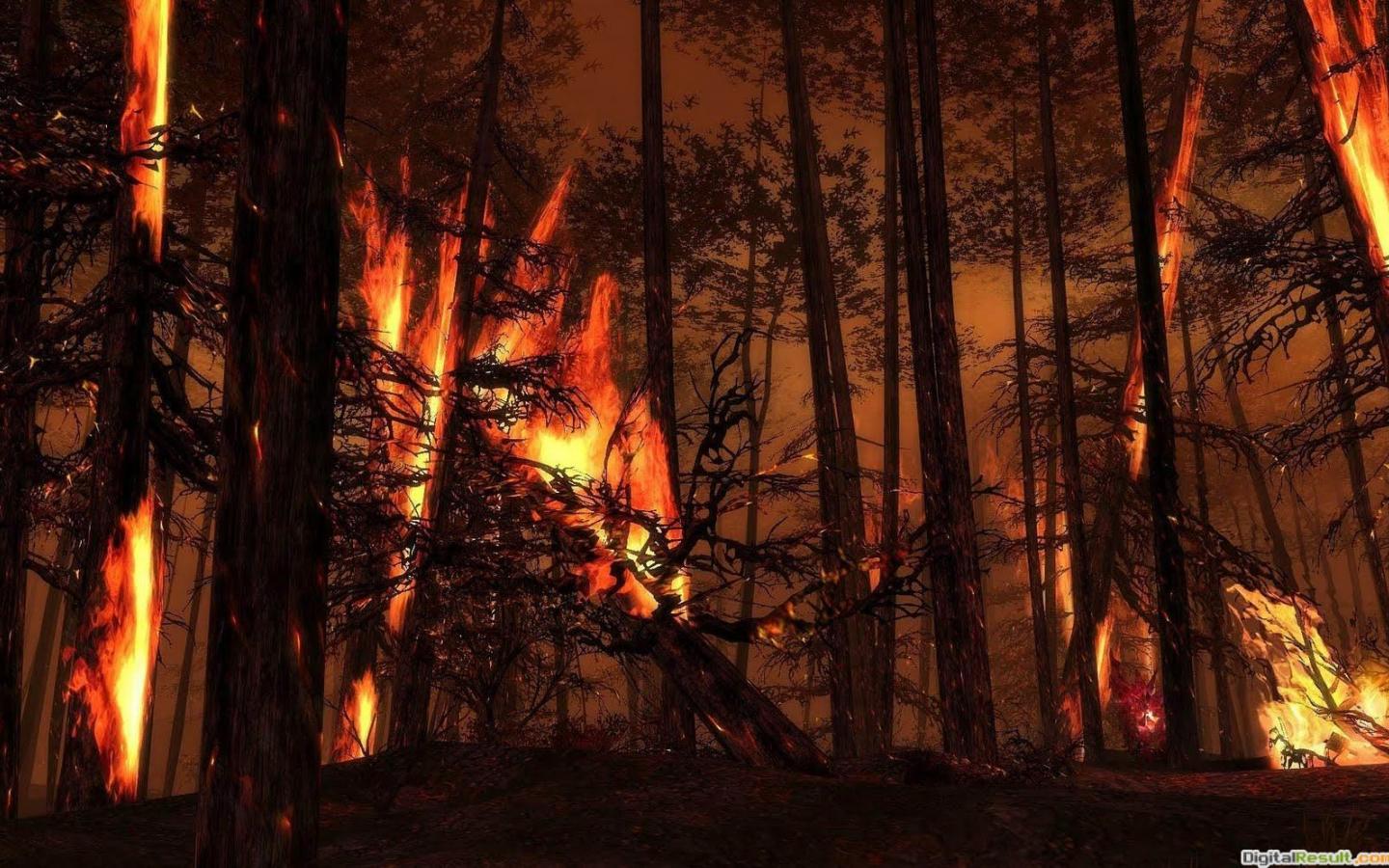 1440x900 Free download 5 Wallpaper Backgroundforest burning trees flames fire [1600x995] for your Desktop, Mobile & Tablet. Explore Burning Forest Wallpaper. Burning Forest Wallpaper, Burning Legion Wallpaper, Burning Man Wallpaper