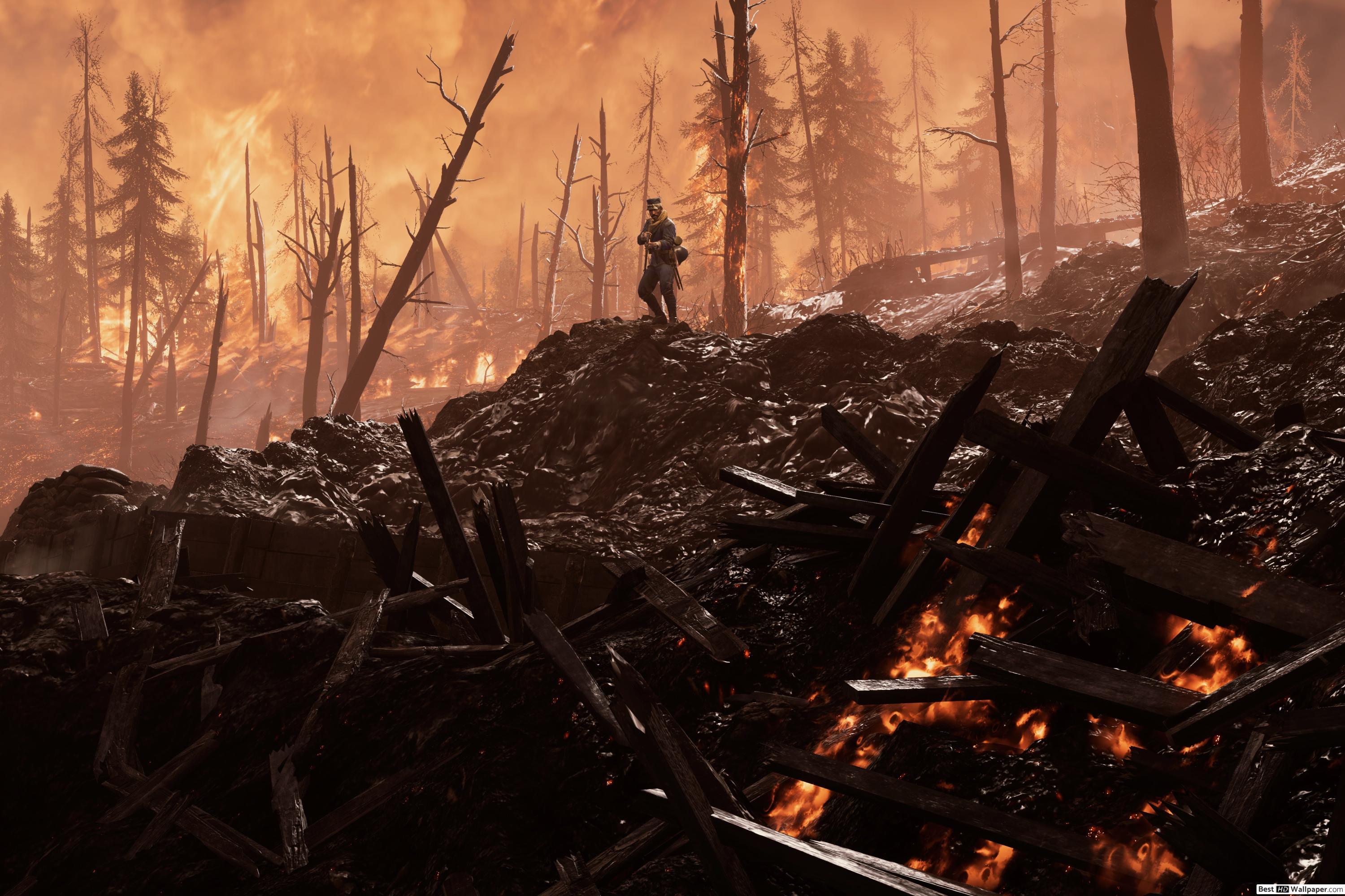 3000x2000 Battlefield 1 game forest HD wallpaper download