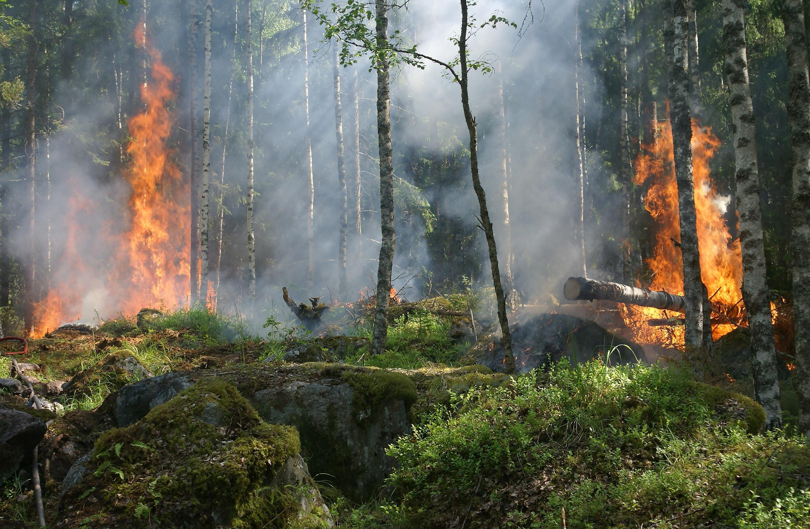 2680x1750 Wildfire Photo, Download Free Wildfire & HD Image