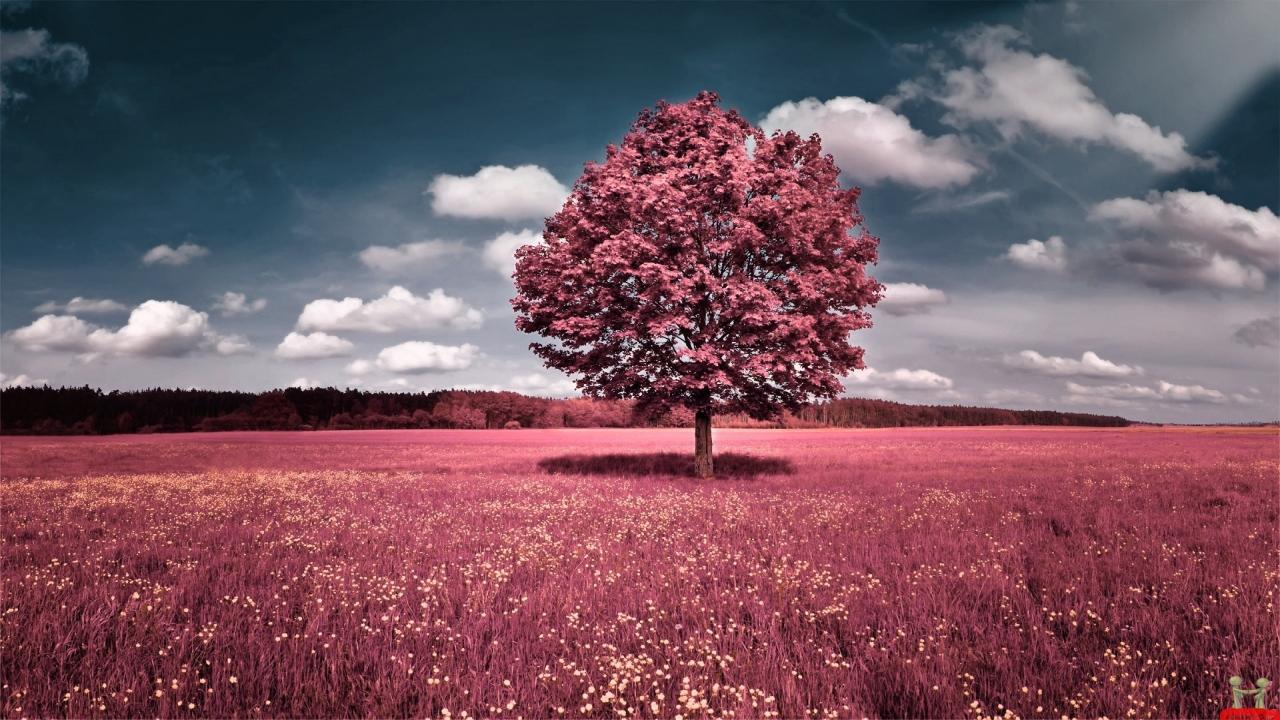 Girly PC Wallpapers Top Free Girly PC Backgrounds WallpaperAccess Girly PC Wallpapers Top Free Girly PC Backgrounds WallpaperAccess