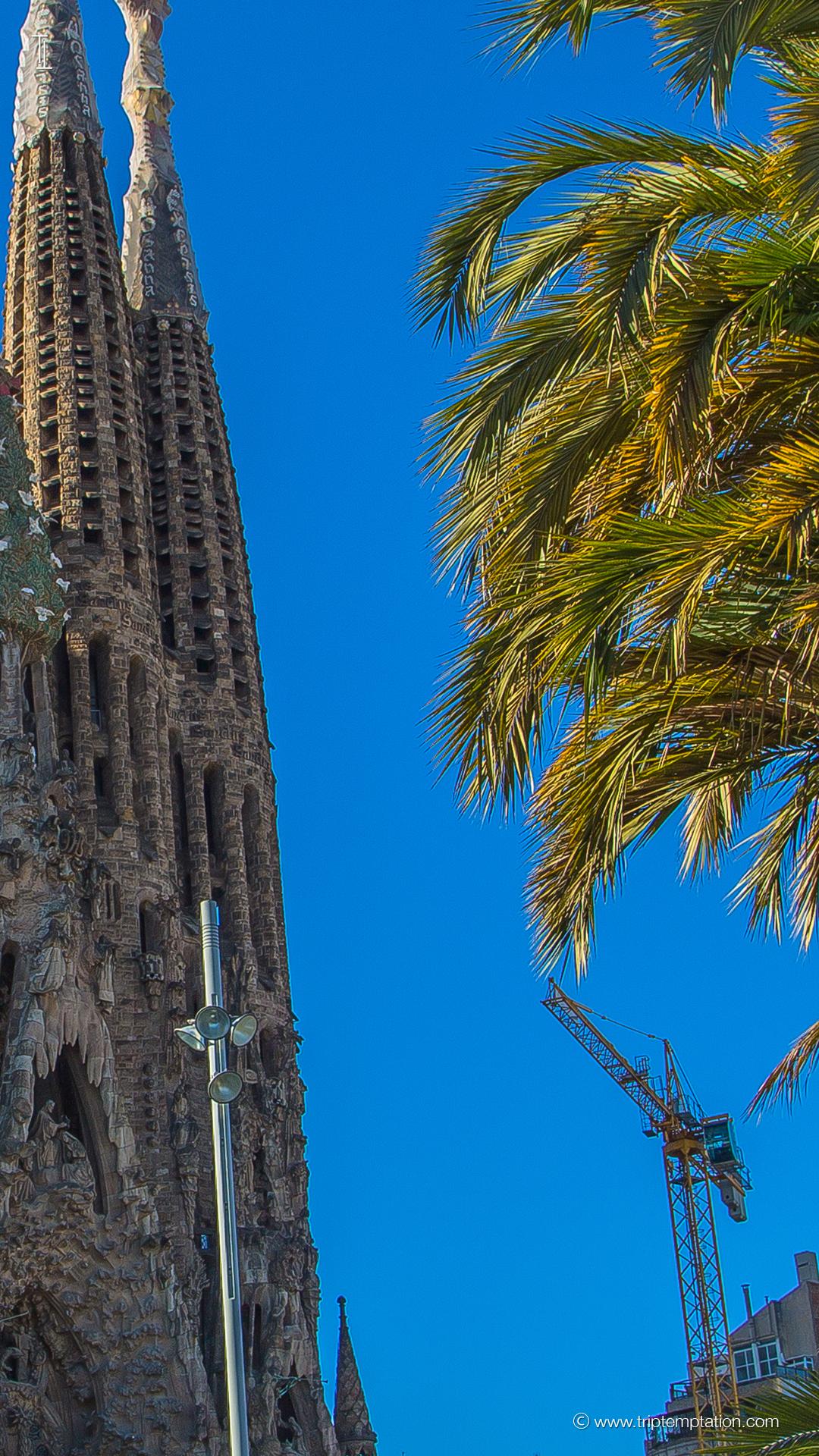 1080x1920 iPhone Wallpaper Barcelona City