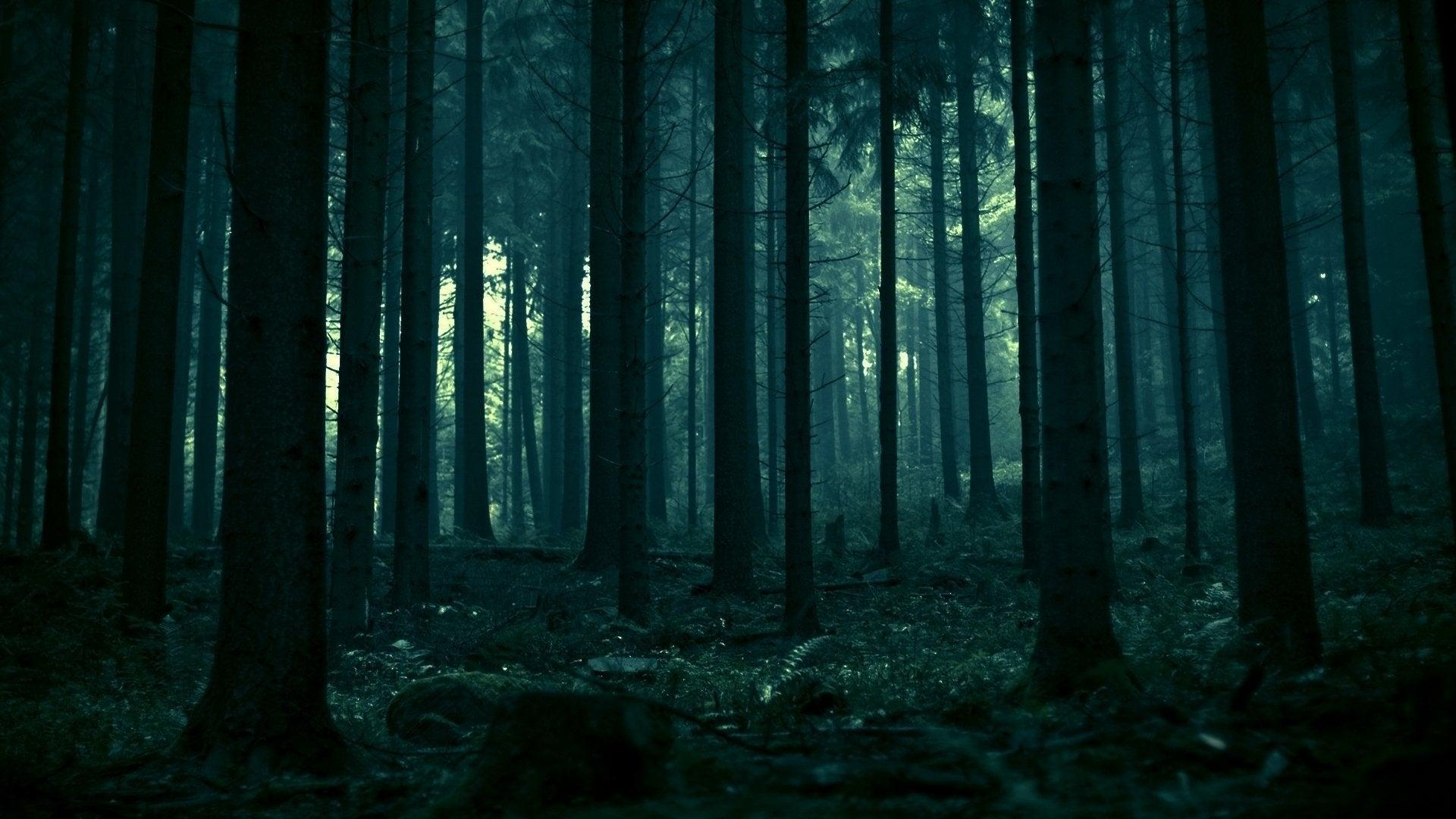 1920x1080 How do I create this dark moody forest look?: Lightroom