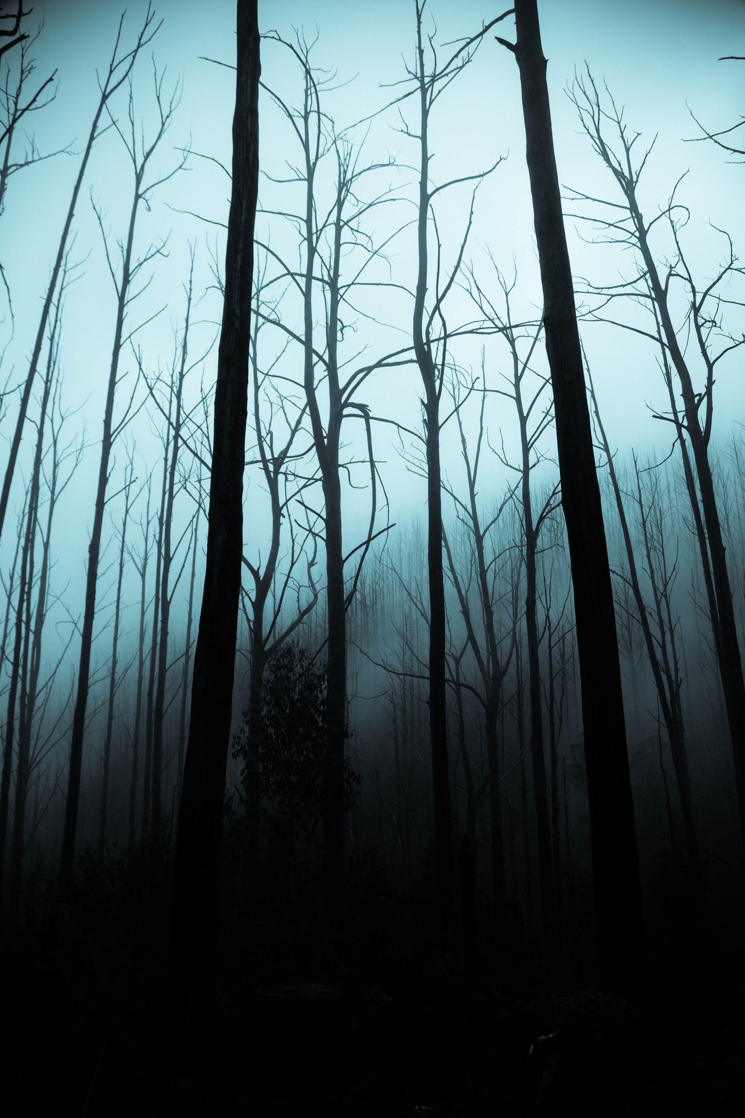 2592x3888 The Best Fine Art Lightroom Presets for Moody and Cinematic Editing