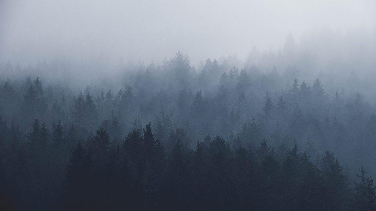 1200x675 Stunning Desktop Wallpaper From