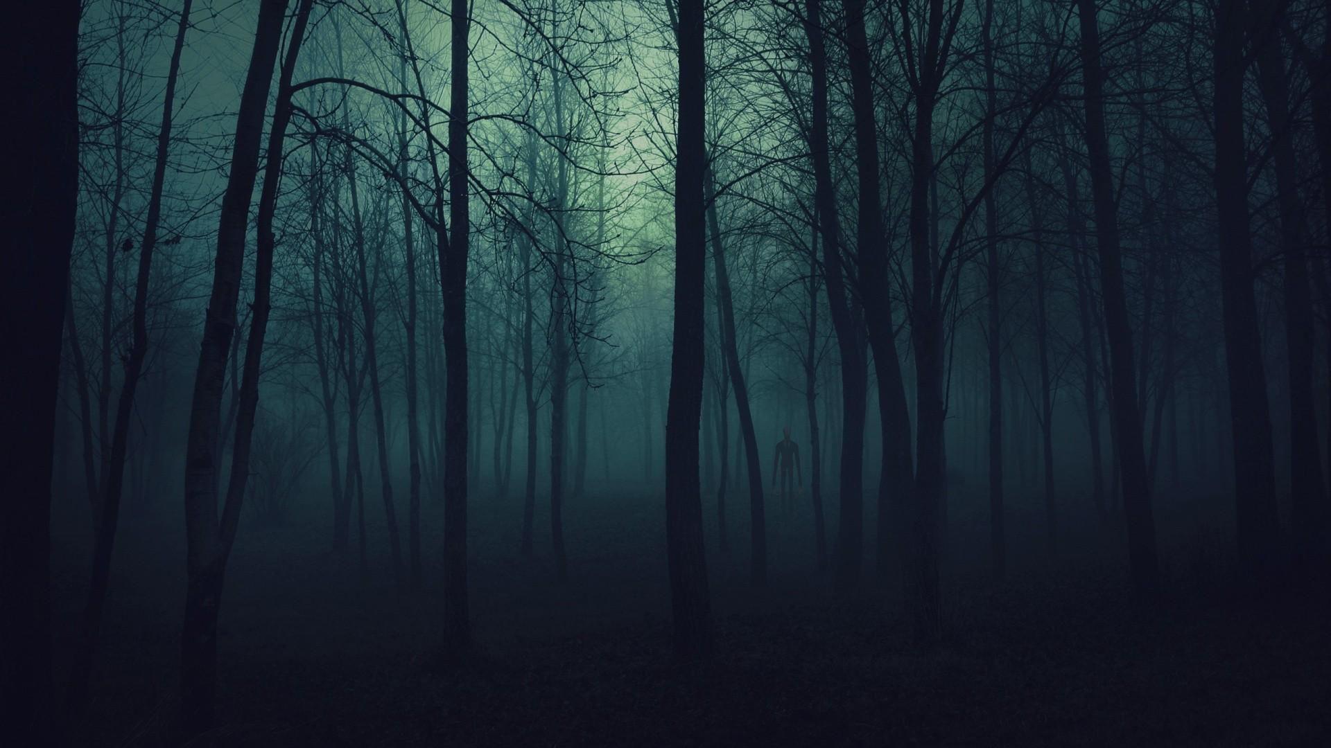 1920x1080 Forest and Moody ideas. forest, dark forest, nature