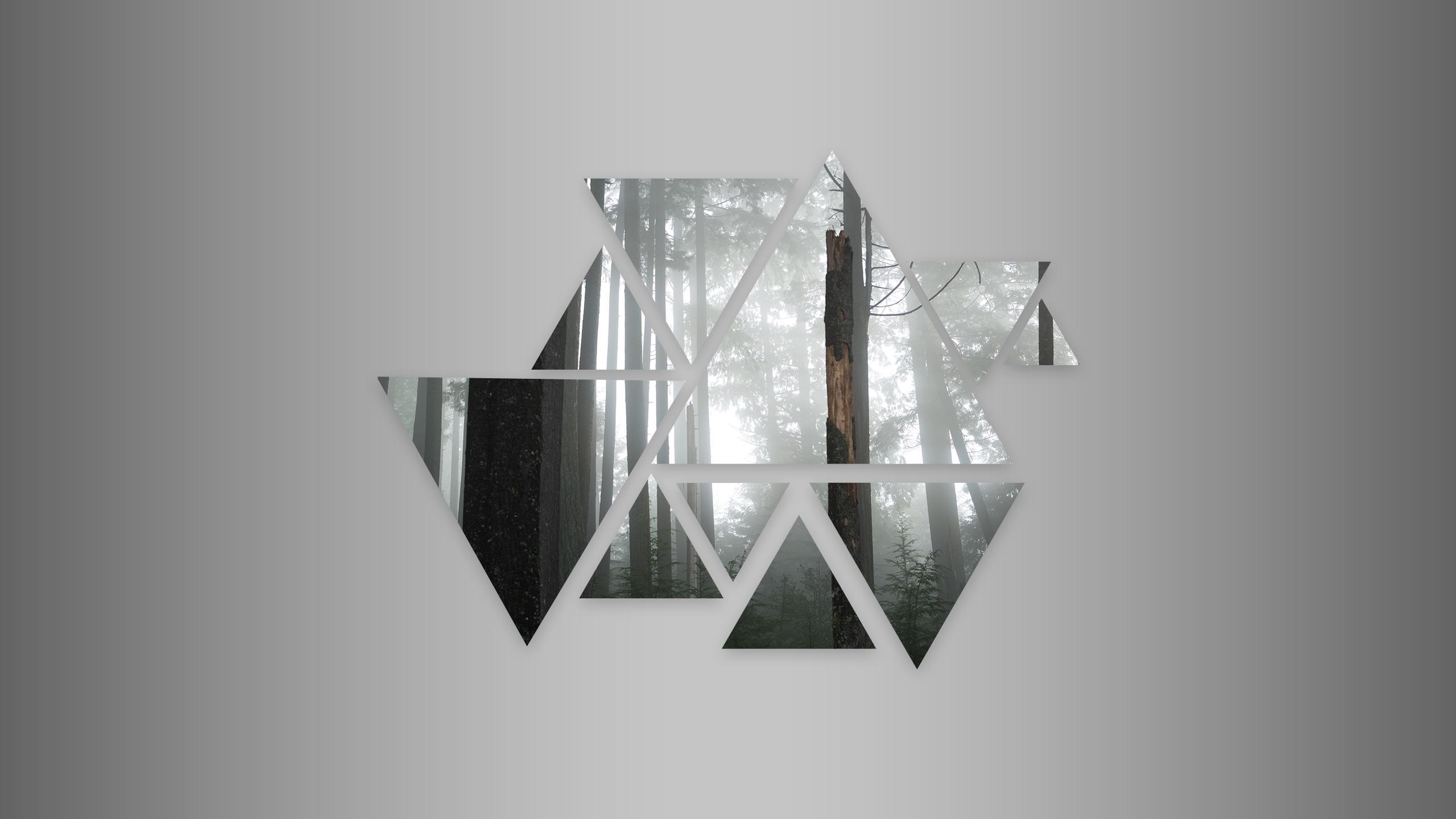 2560x1440 Wallpaper Heaven: Geometric Landscape of a Moody Forest [2560x1440]