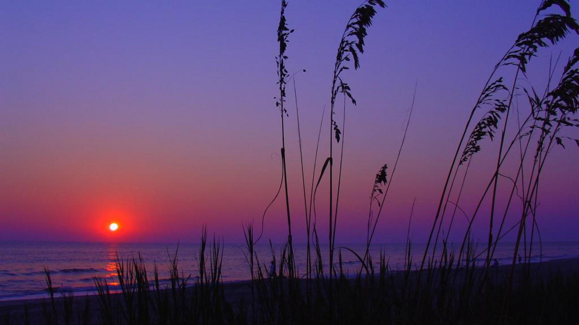 1920x1080 Free download myrtle beach south carolina wallpaper wallpapertube myrtle beach [1920x1080] for your Desktop, Mobile & Tablet. Explore North Myrtle Beach Wallpaper. Wallpaper Myrtle Beach SC, Myrtle Beach Wallpaper