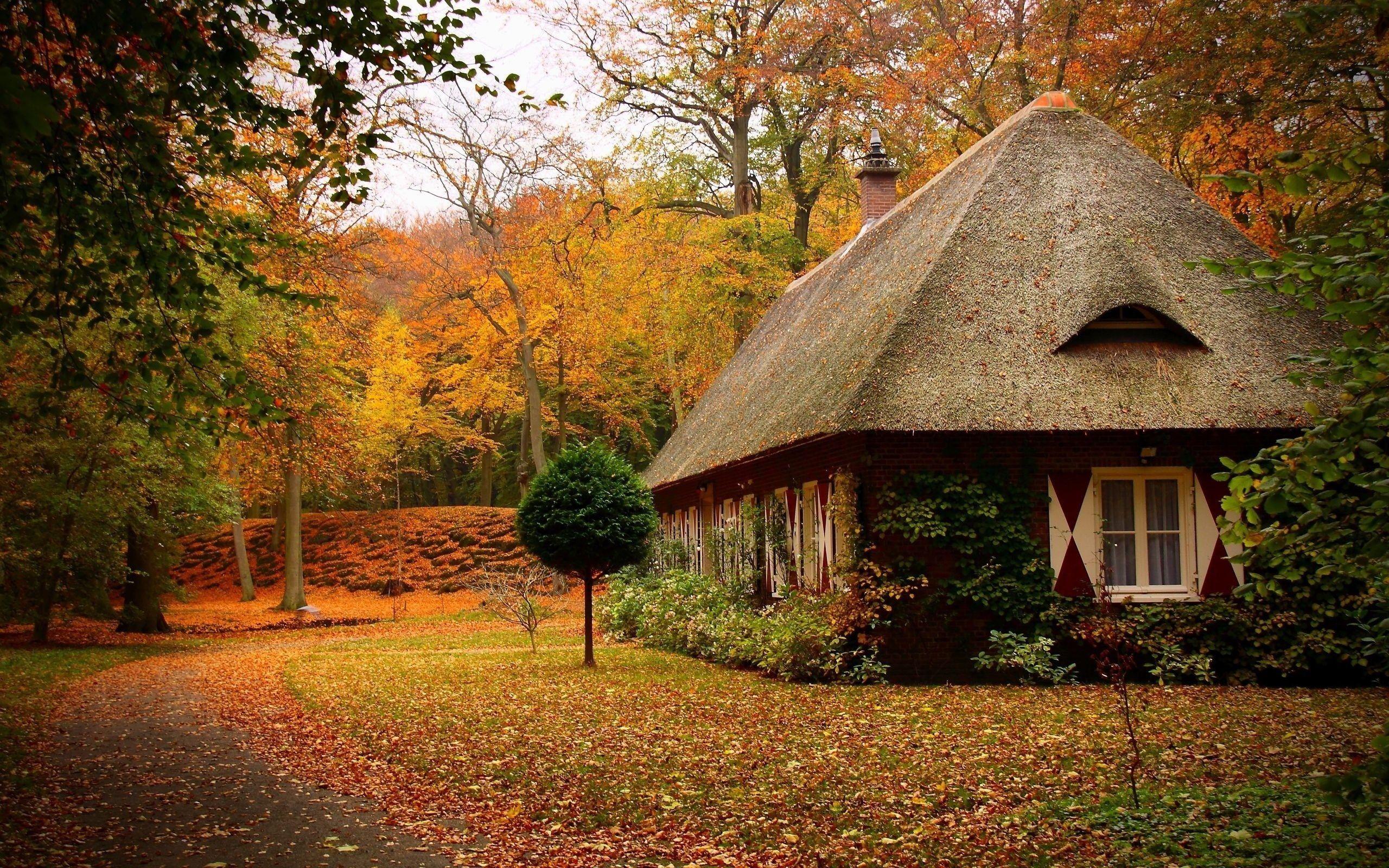 2560x1600 Autumn Camping Wallpaper