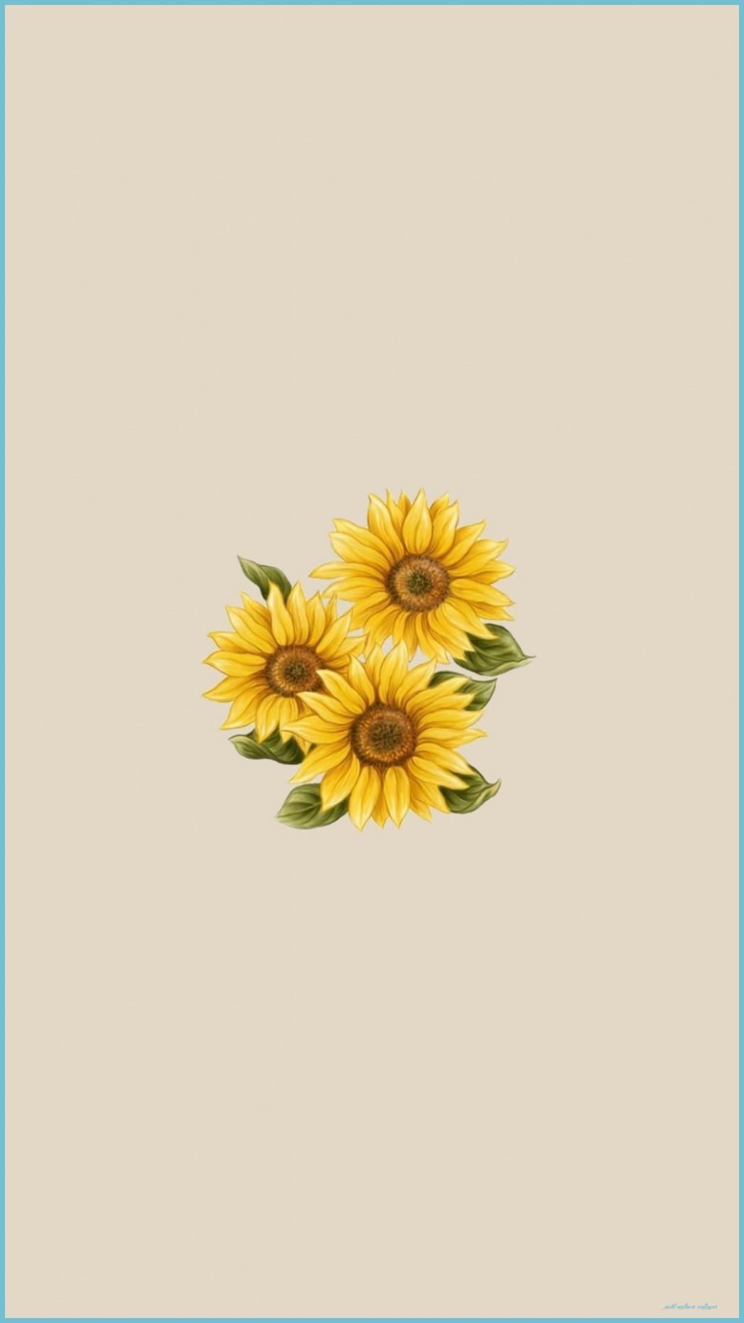 1047x1862 Aesthetic Yellow Wallpaper Vans #aesthetic Sunflower Wallpaper