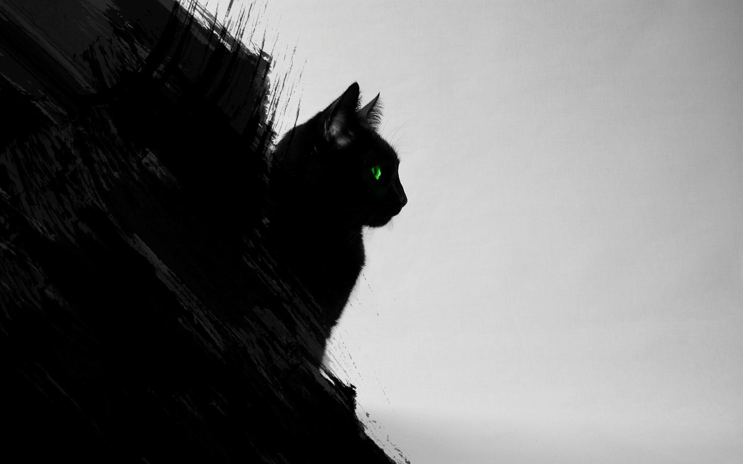 2560x1600 Wallpaper Cat Silhouette, Black Cats, Animals, Green Eyes • Wallpaper For You HD Wallpaper For Desktop & Mobile