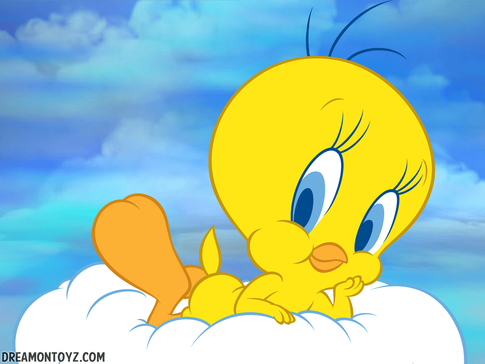 1600x1200 Tweety Bird Wallpaper