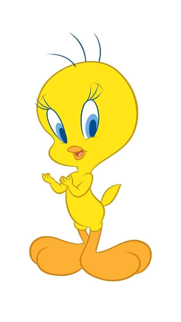 720x1280 Download Tweety Bird Wallpaper by DLJunkie now. Browse millions of popular cartoon character. Cute cartoon wallpaper, Tweety, Cartoon pics