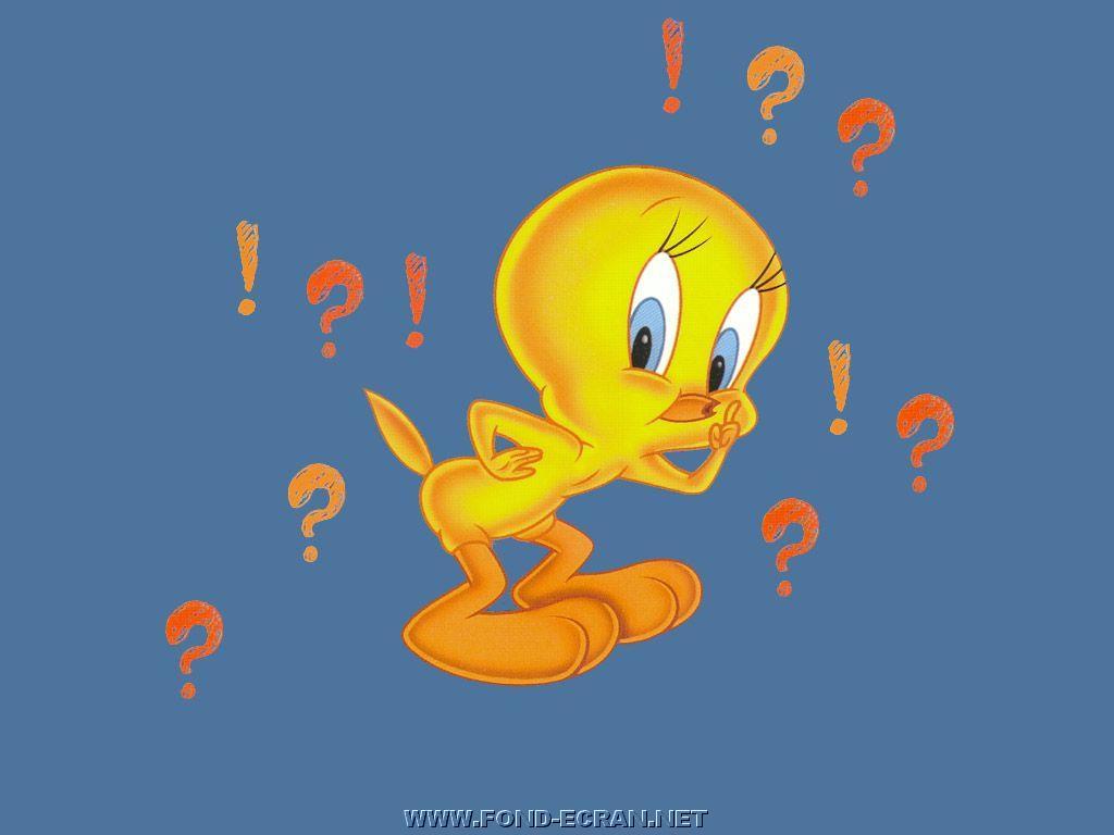 1024x768 titiquestionexclamation01 Bird Photo