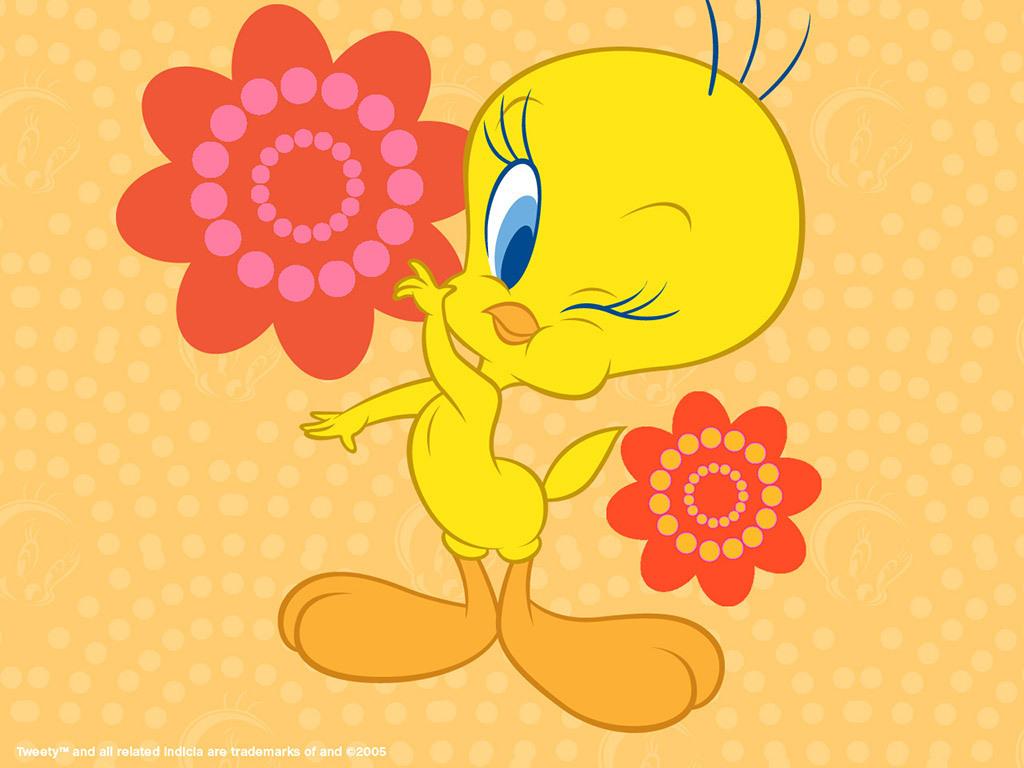 1024x768 Tweety BIrd Wallpaper Bird Wallpaper