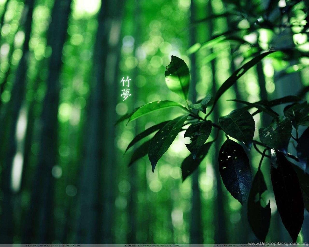 1280x1024 Green Leaves Wallpaper HD, Image And Picture Desktop Background