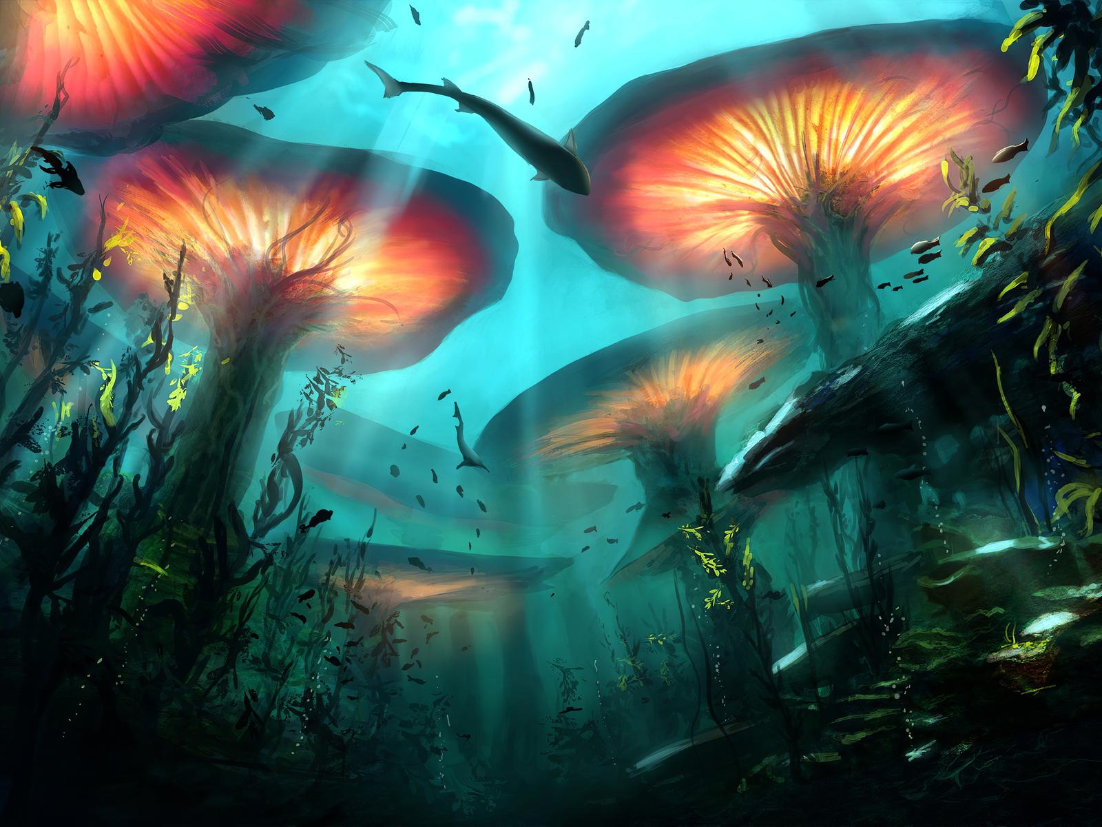 1600x1200 Underwater Nature Digital Art 4k 1600x1200 Resolution HD 4k Wallpaper, Image, Background, Photo and Picture