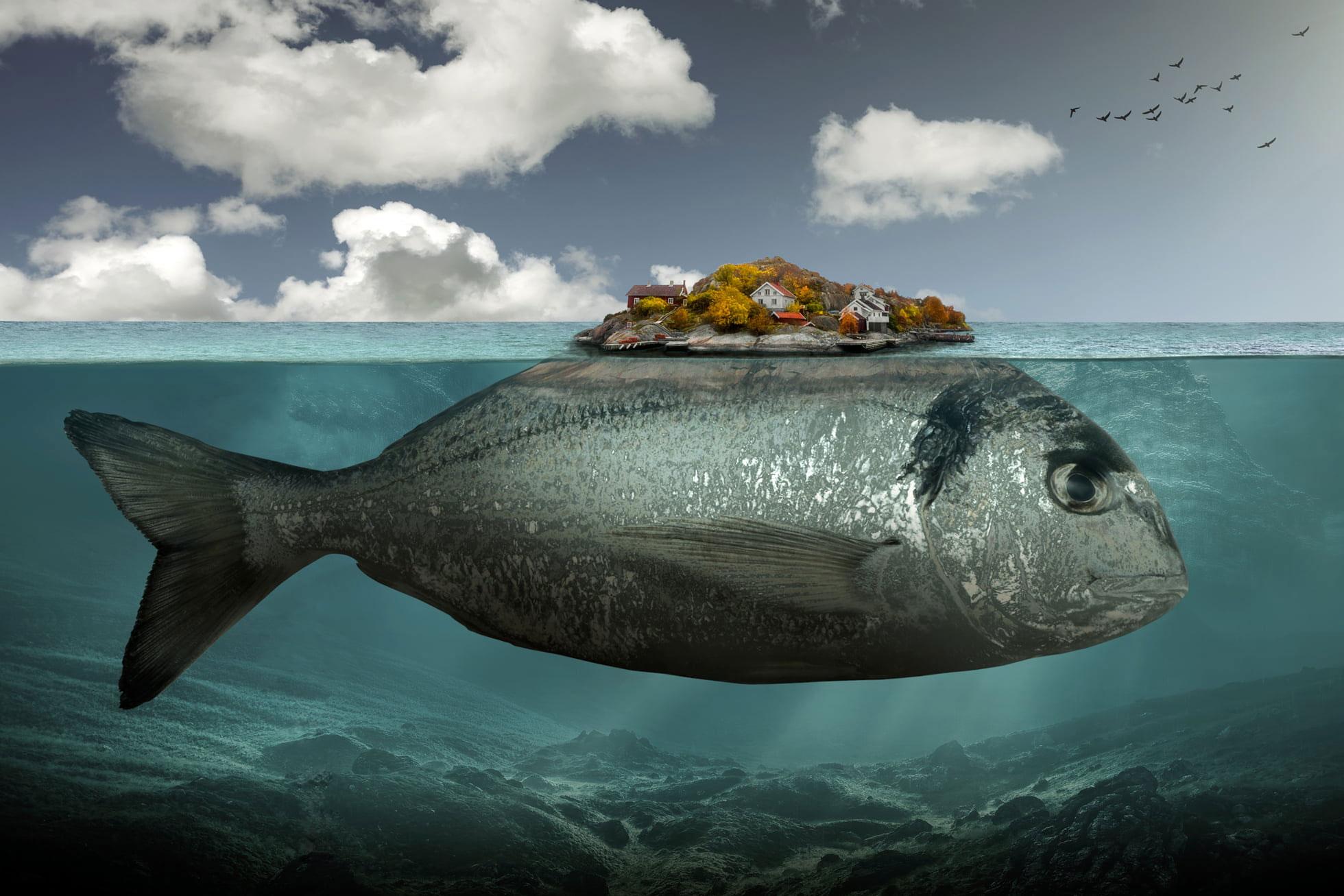 1960x1307 Gray fish illustration wallpaper, artwork, digital art, surreal, underwater • Wallpaper For You HD Wallpaper For Desktop & Mobile