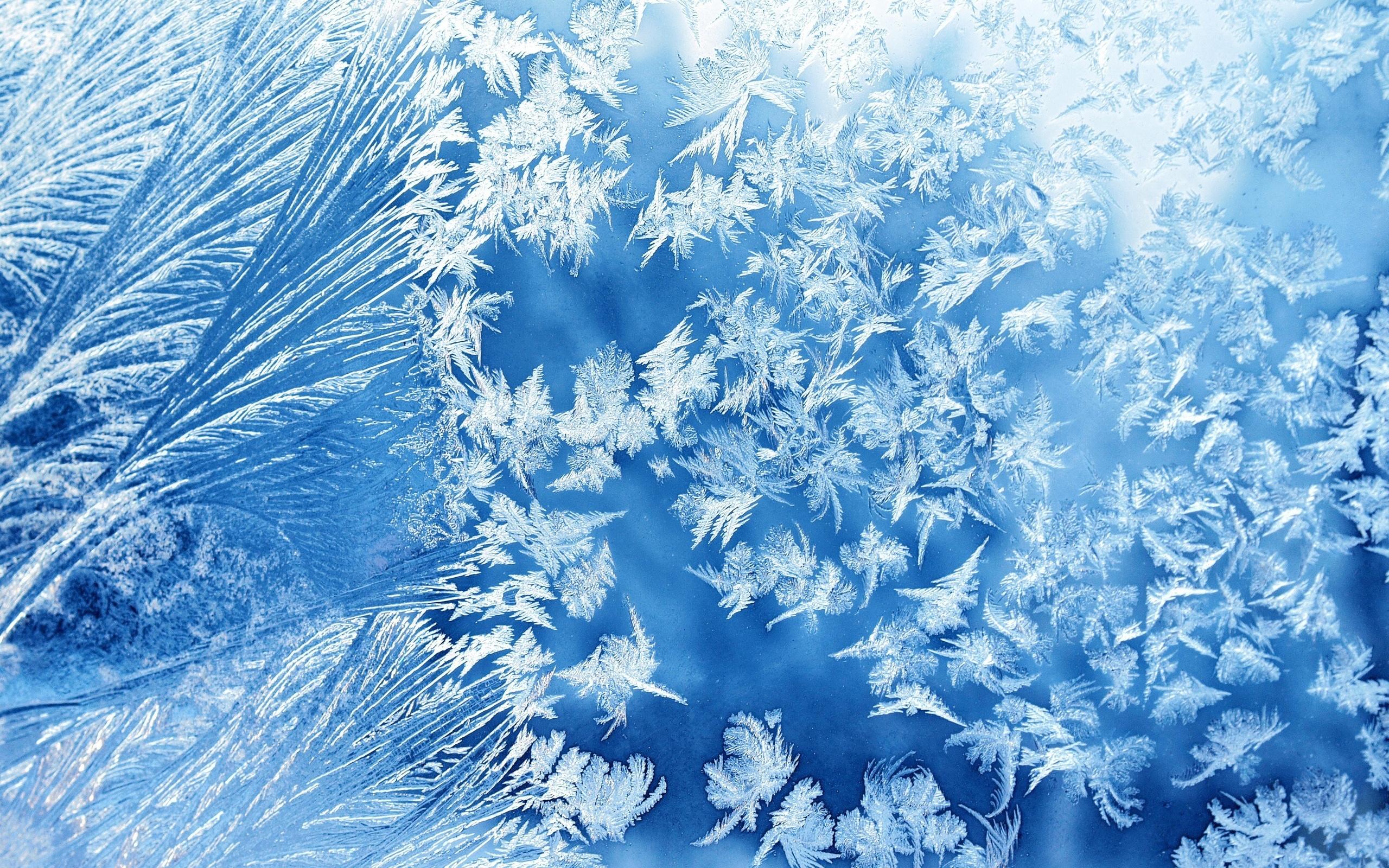 2560x1600 Ice Flowers HD wallpaper
