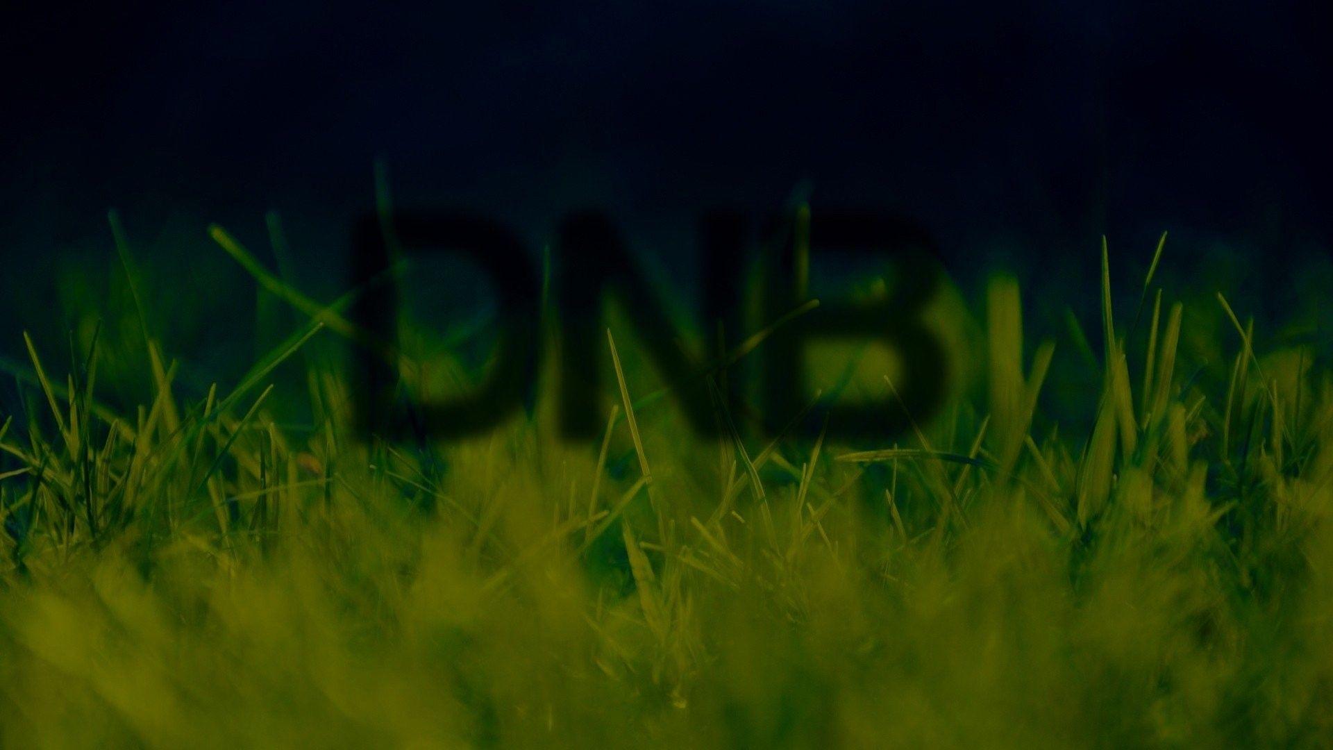1920x1080 Grass Bass Drum Animated Nature Background Image Plants for HD 16