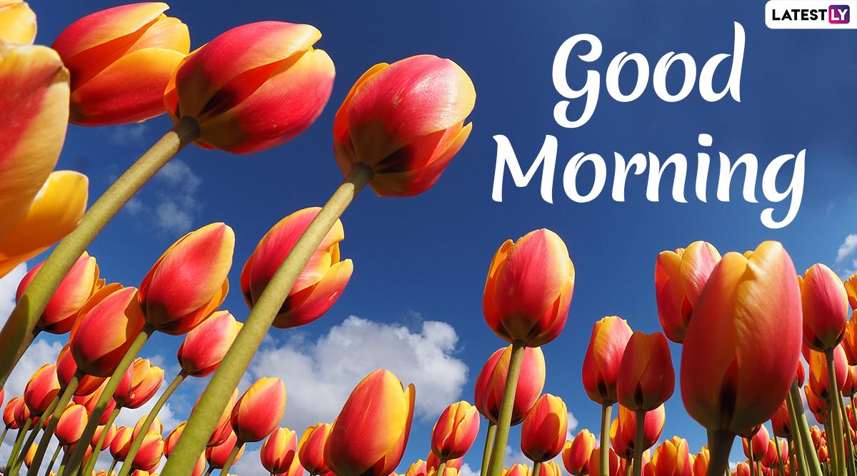 1200x667 Good Morning 2021 Image & HD Wallpaper for Free Download Online: WhatsApp Messages, Positive Quotes and Happy Greetings to Send Your Family & Friends Early Morning