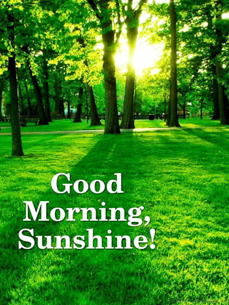 768x1024 Good Morning Sunshine Image