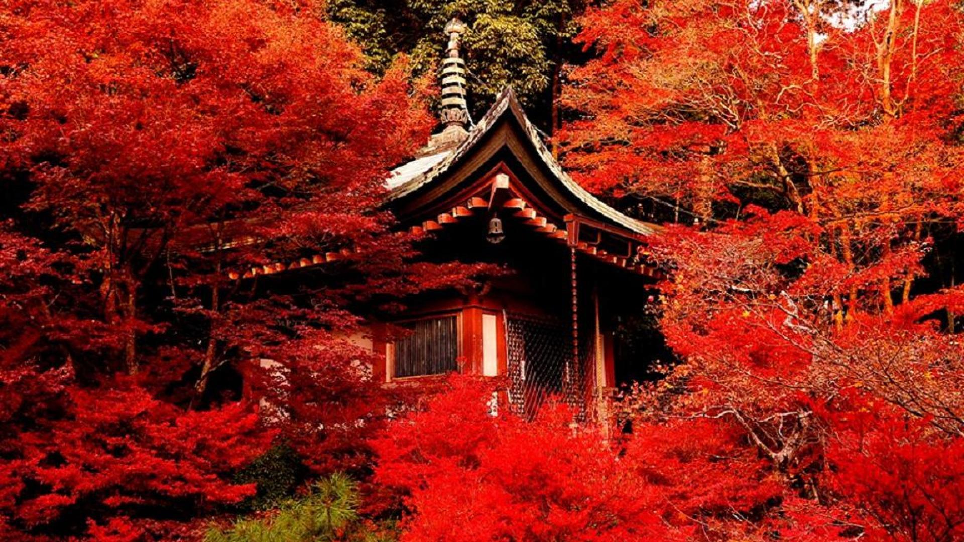 1920x1080 Free download Kyoto HD Wallpaper [1920x1080] for your Desktop, Mobile & Tablet. Explore Kyoto Wallpaper. Japanese Garden Desktop Wallpaper, Japanese Garden Wallpaper, Kyoto Wallpaper HD