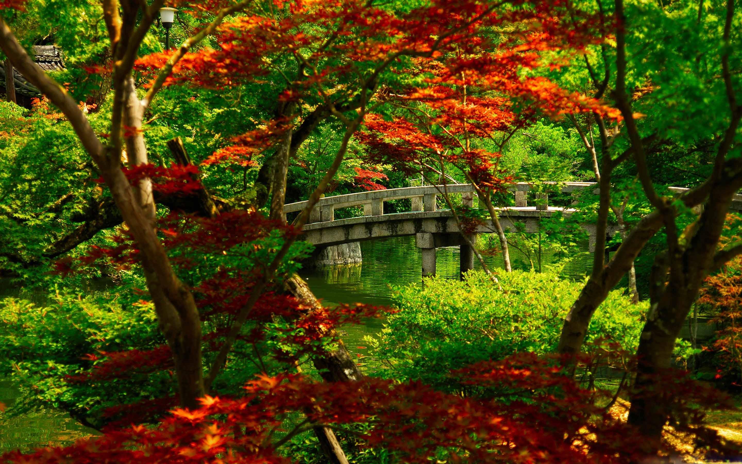2880x1800 Japanese Garden Kyoto MacBook Air Wallpaper Download