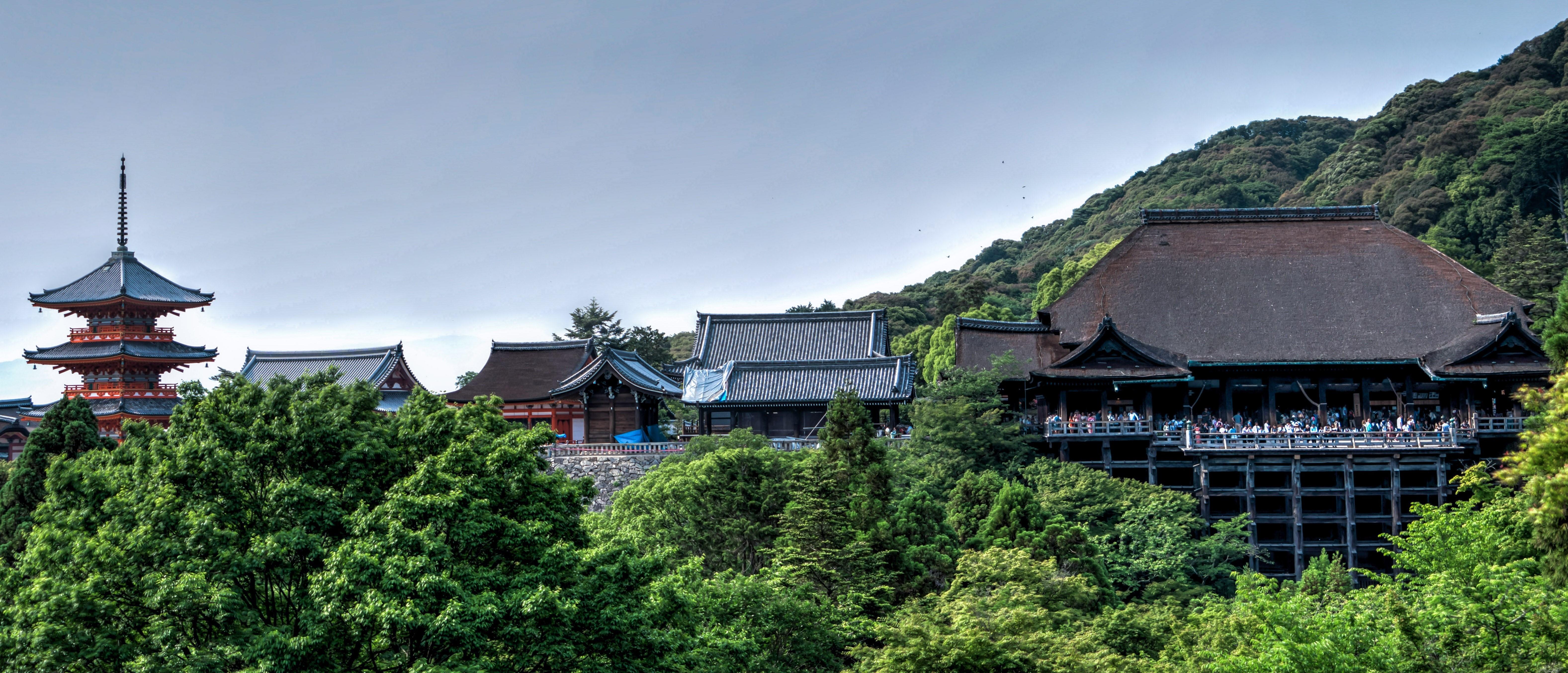 6308x2709 4K, 5K, 6K, Kiyomizu Dera, Kyoto, Japan, Mountains, Temples. Mocah HD Wallpaper