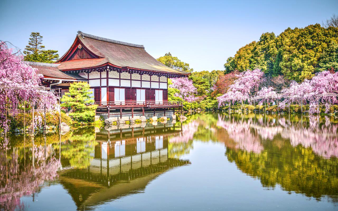 1280x800 Spring in Japan Wallpaper HD free download