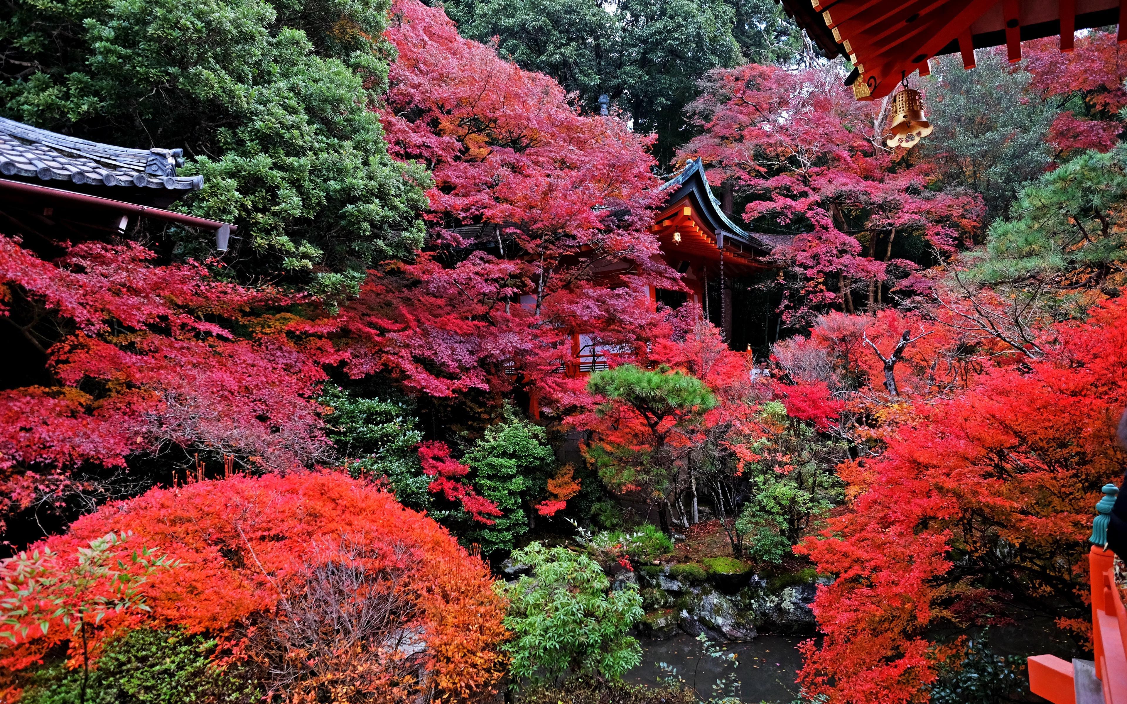 3840x2400 Autumn Japan Wallpaper