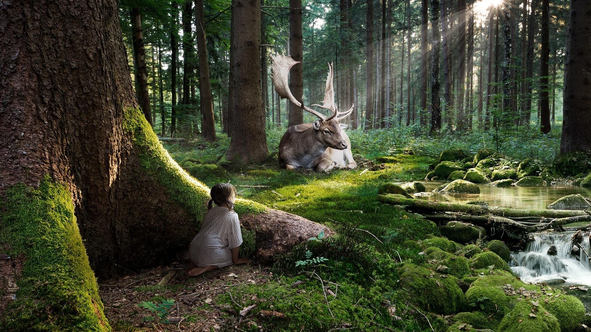 1920x1080 green women nature trees forest deer fantasy art sunlight fairy tales 1920x1080 wallpaper High Quality Wallpaper, High Definition Wallpaper