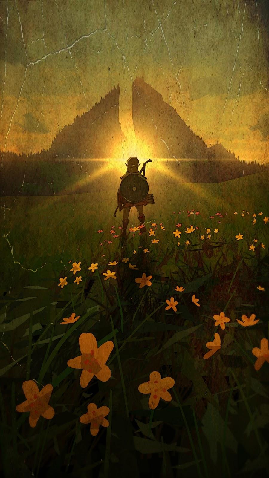 900x1600 Legend of Zelda phone wallpaper HD 1080x1920