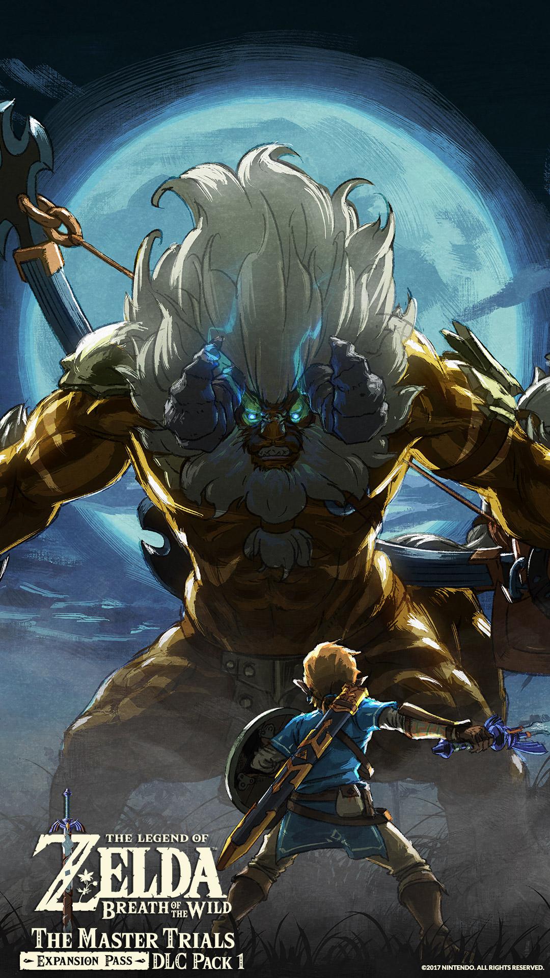 1080x1920 Legend Of Zelda Breath Of The Wild Lynel