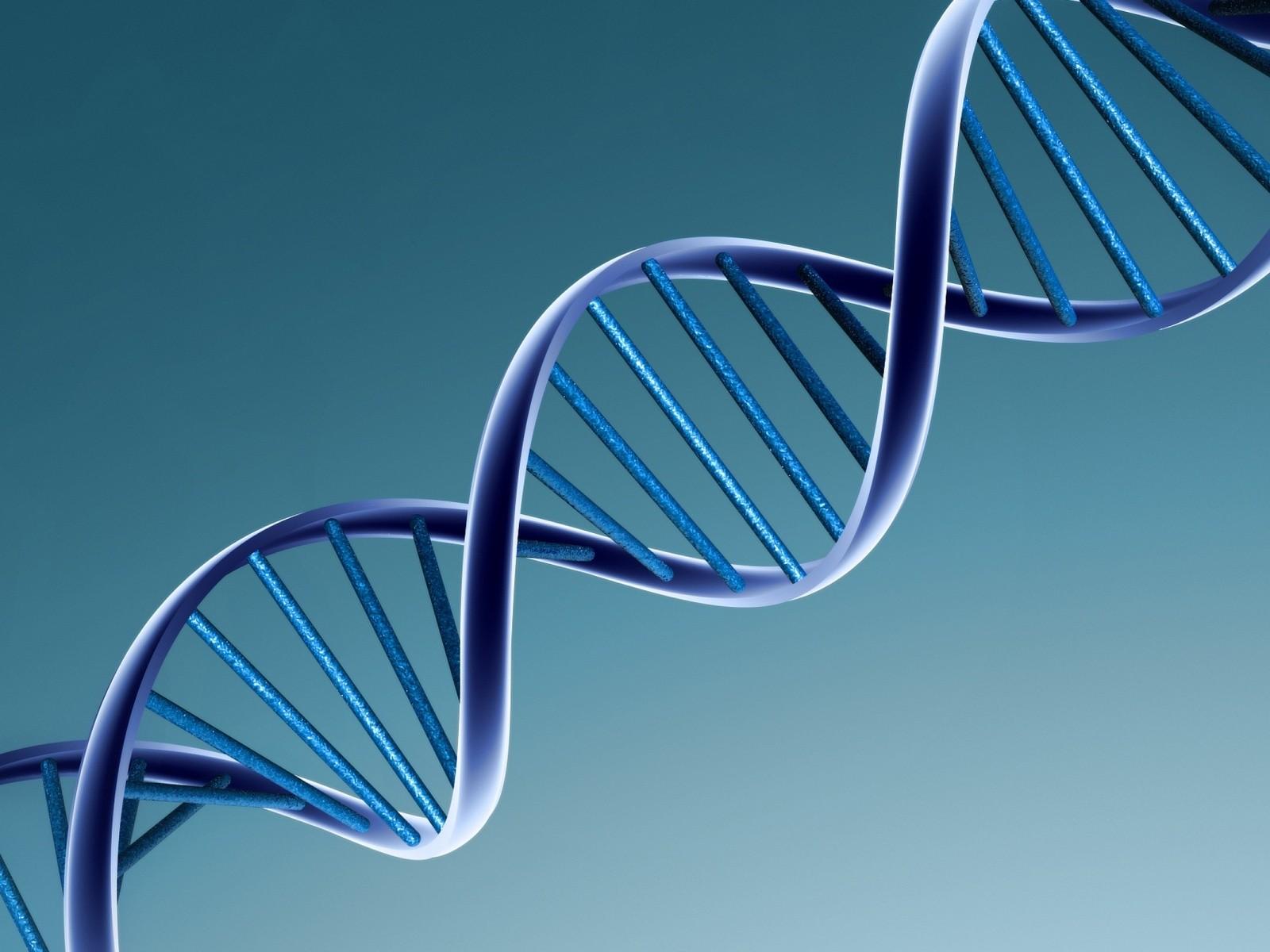 1600x1200 X Gene. The Origin Of Mutants