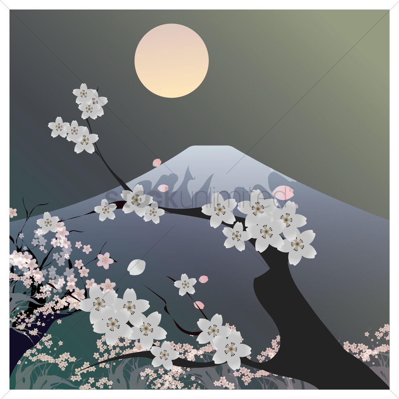 1300x1300 Mount fuji kyoto and cherry blossom Vector Image