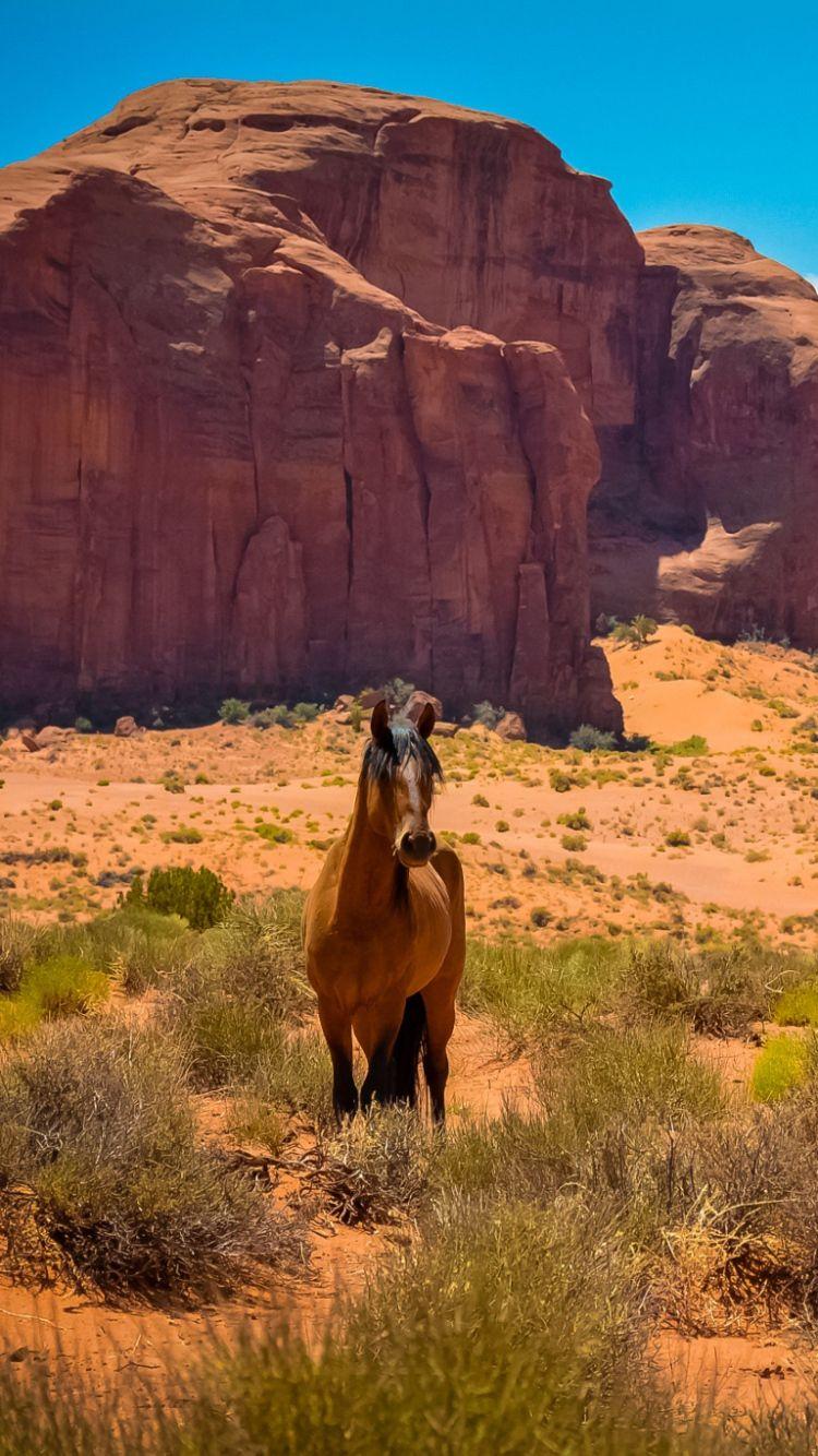 750x1334 Wild West Wallpaper