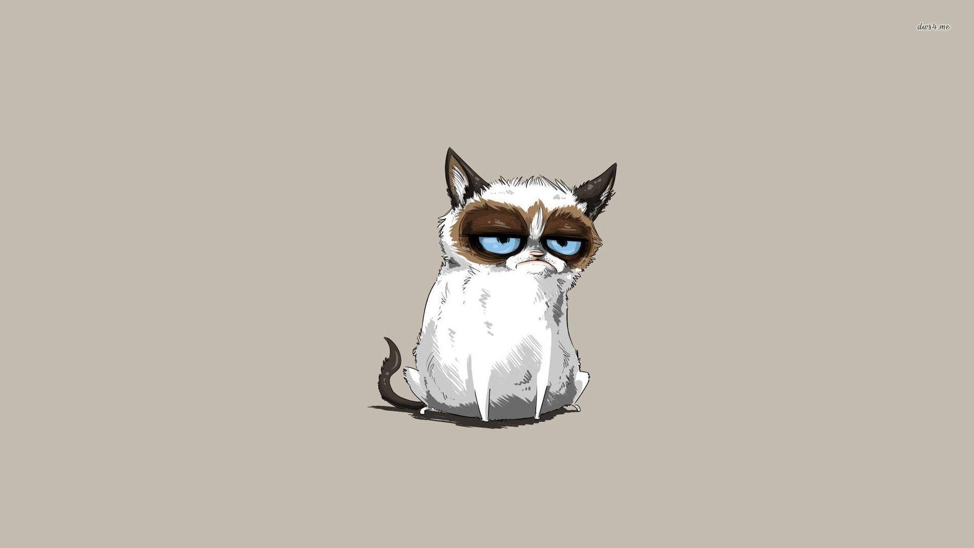 1920x1080 Grumpy Cat Wallpaper HD