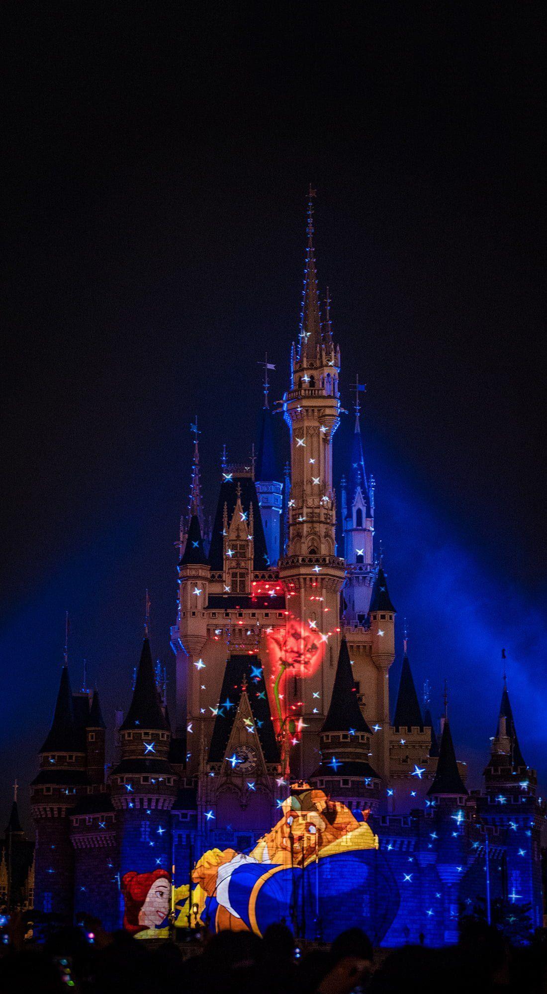1100x2000 Disney Castle Beauty And The Beast Wallpaper. Disney phone wallpaper, Wallpaper iphone disney, Disney wallpaper