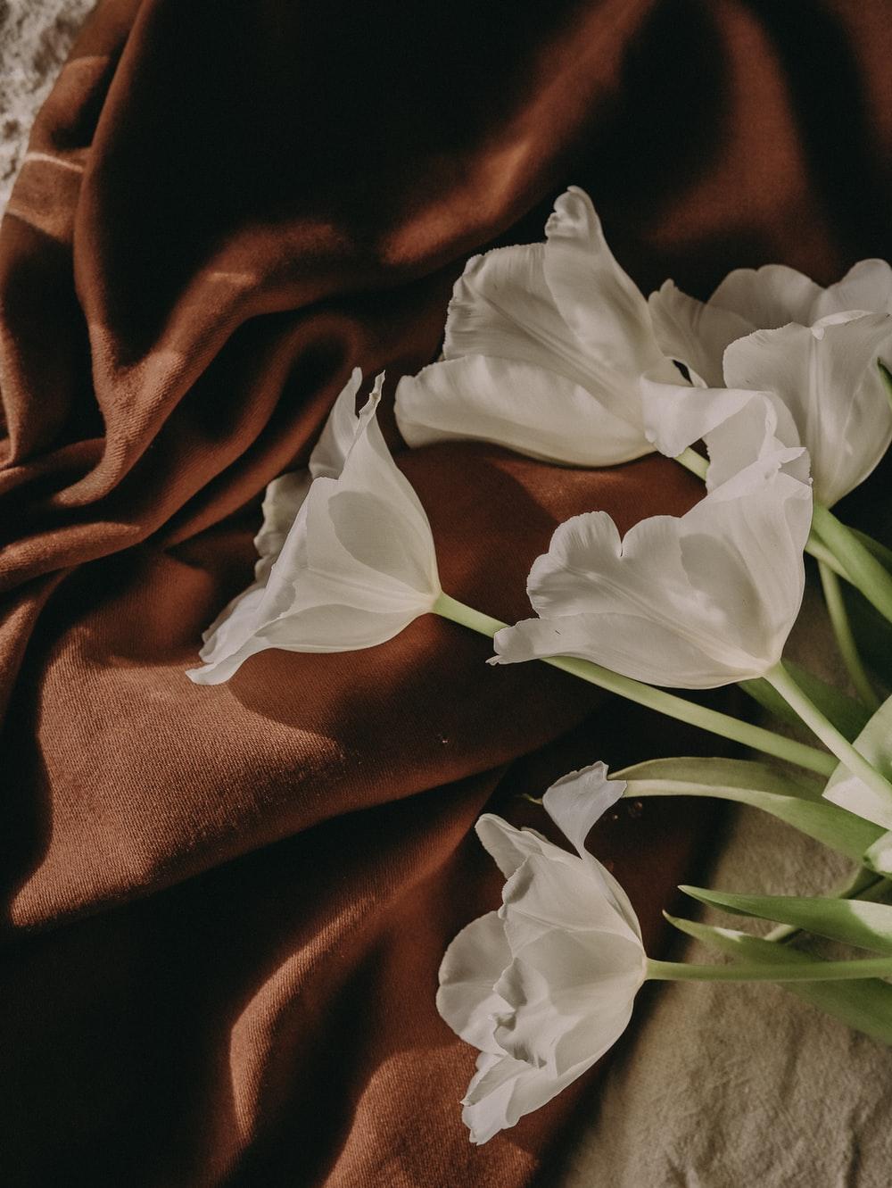 1000x1331 Brown Aesthetic Picture. Download Free Image