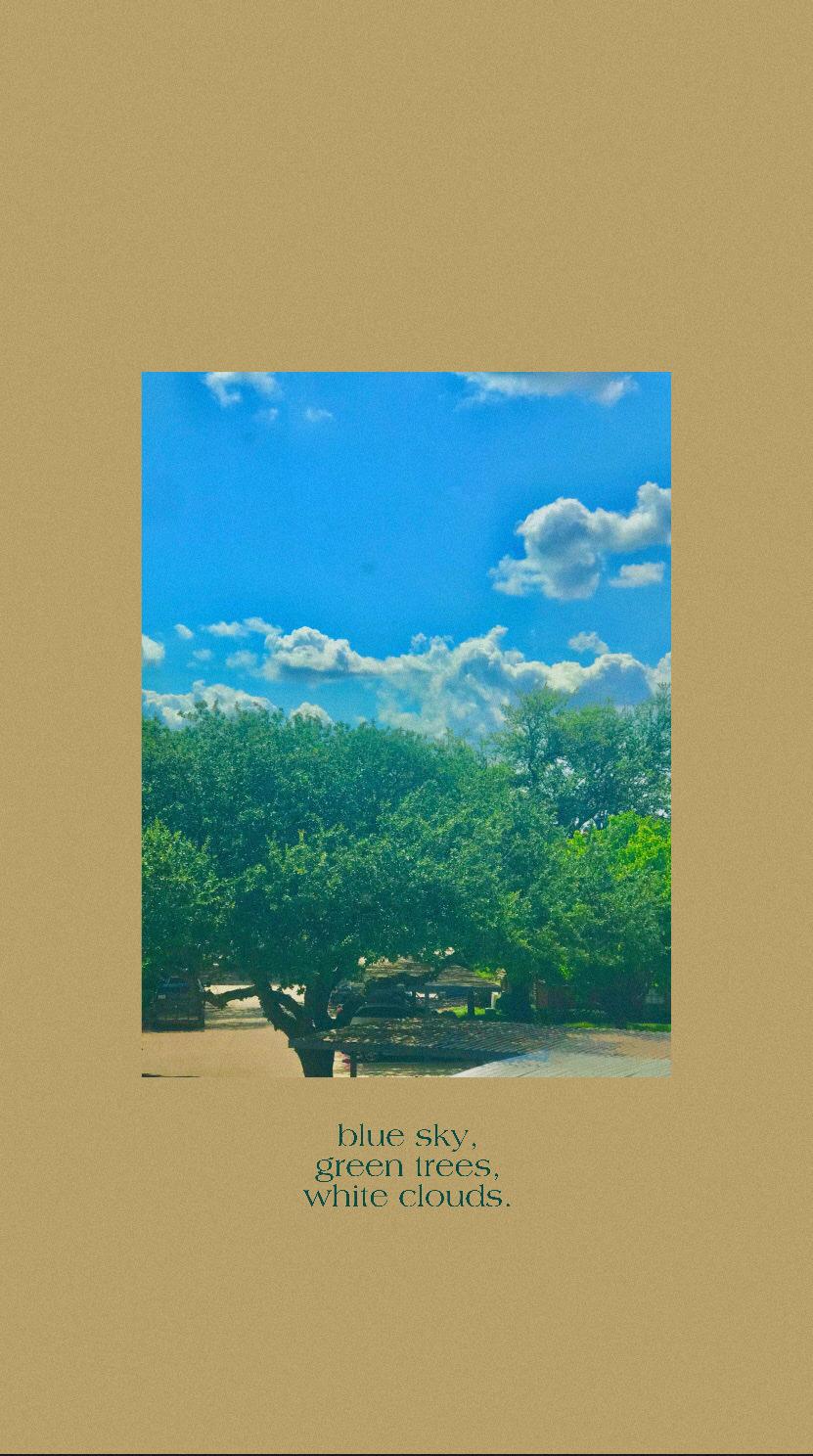 831x1488 ❕